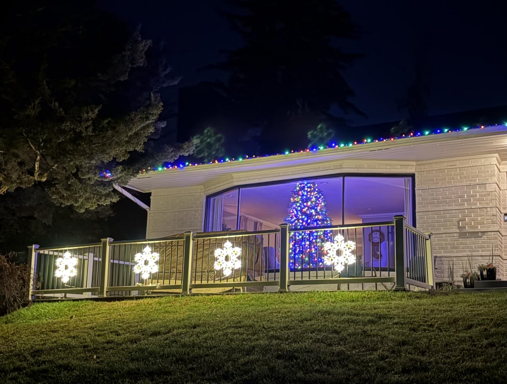 Christmas Snowflake Lights Outdoor, 20