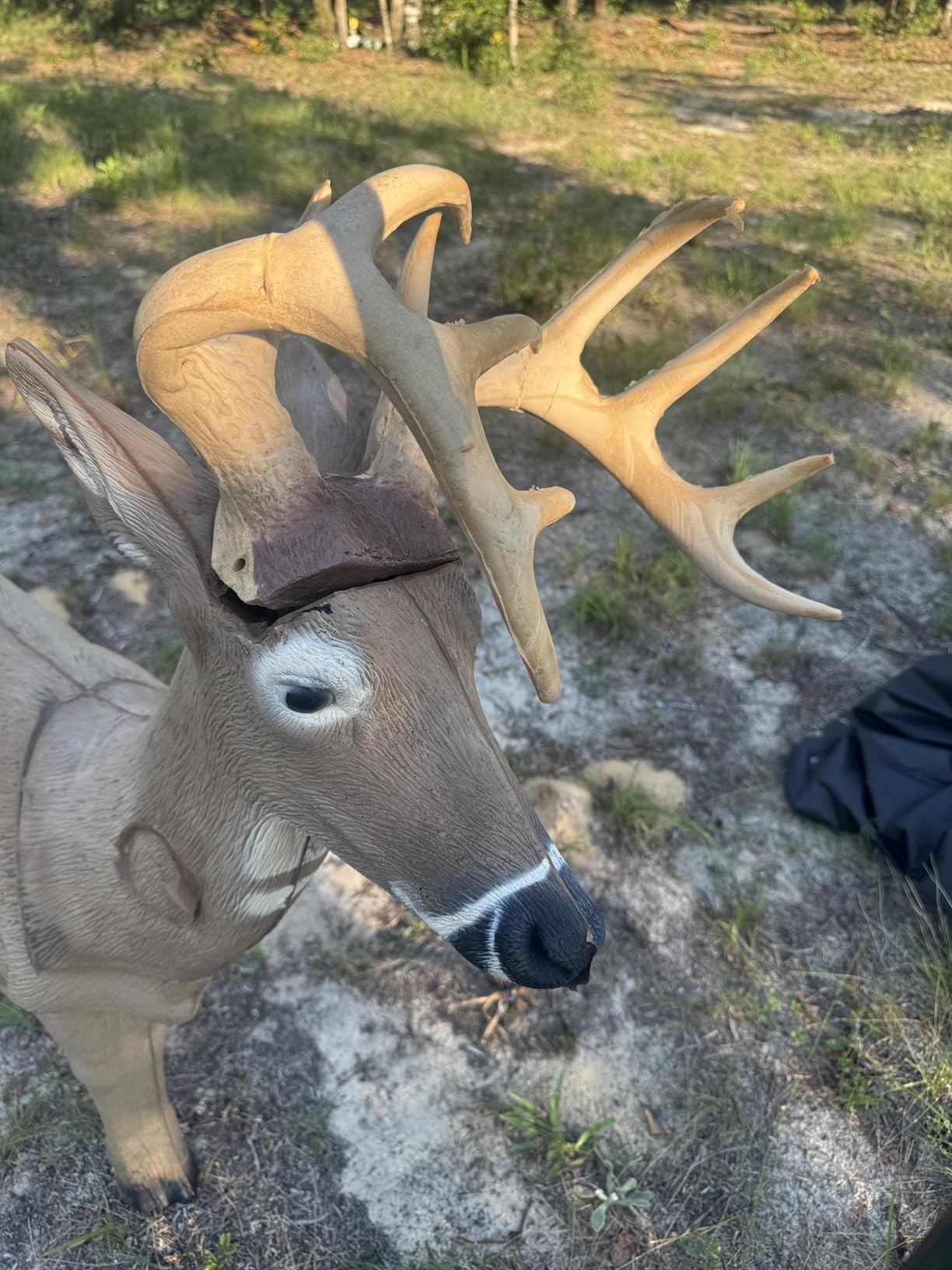 Rinehart Woodland Jimmy Big Tine 3D Archery Target customer photo 1