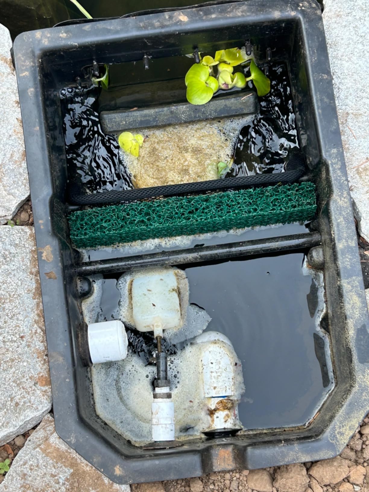 The Pond Guy ClearSkim Skimmer, Faux Rock Lid, Filter Pad & Debris Net | Protects water garden and outdoor koi fish pond pumps with a pump-protecting skimmer design customer photo 1