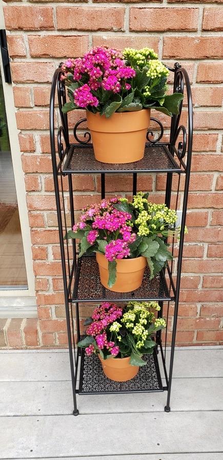 Pure Garden 3 Tier Indoor or Outdoor Plant Stand, Black | Vertical Folding Wrought Iron Metal Plant Shelf for Home or Garden Display with Staggered Shelves customer photo 1