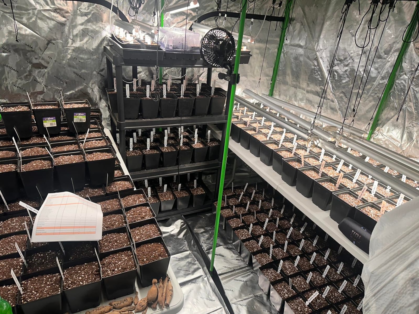 Barrina LED Grow Light, 252W (6 x 42W) 4ft T8, Full Spectrum, Pink, 6 Packs V-Shape with Reflector, Linkable Design customer photo 1