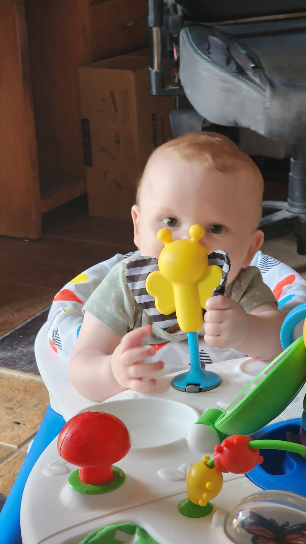 Baby Einstein 4-in-1 Activity Center & Walker with Piano, Age 6M+ | 4 ways to grow: walker, discovery table, art table & floor play-entertains babies 6-36 months with 15+ activities customer photo 2