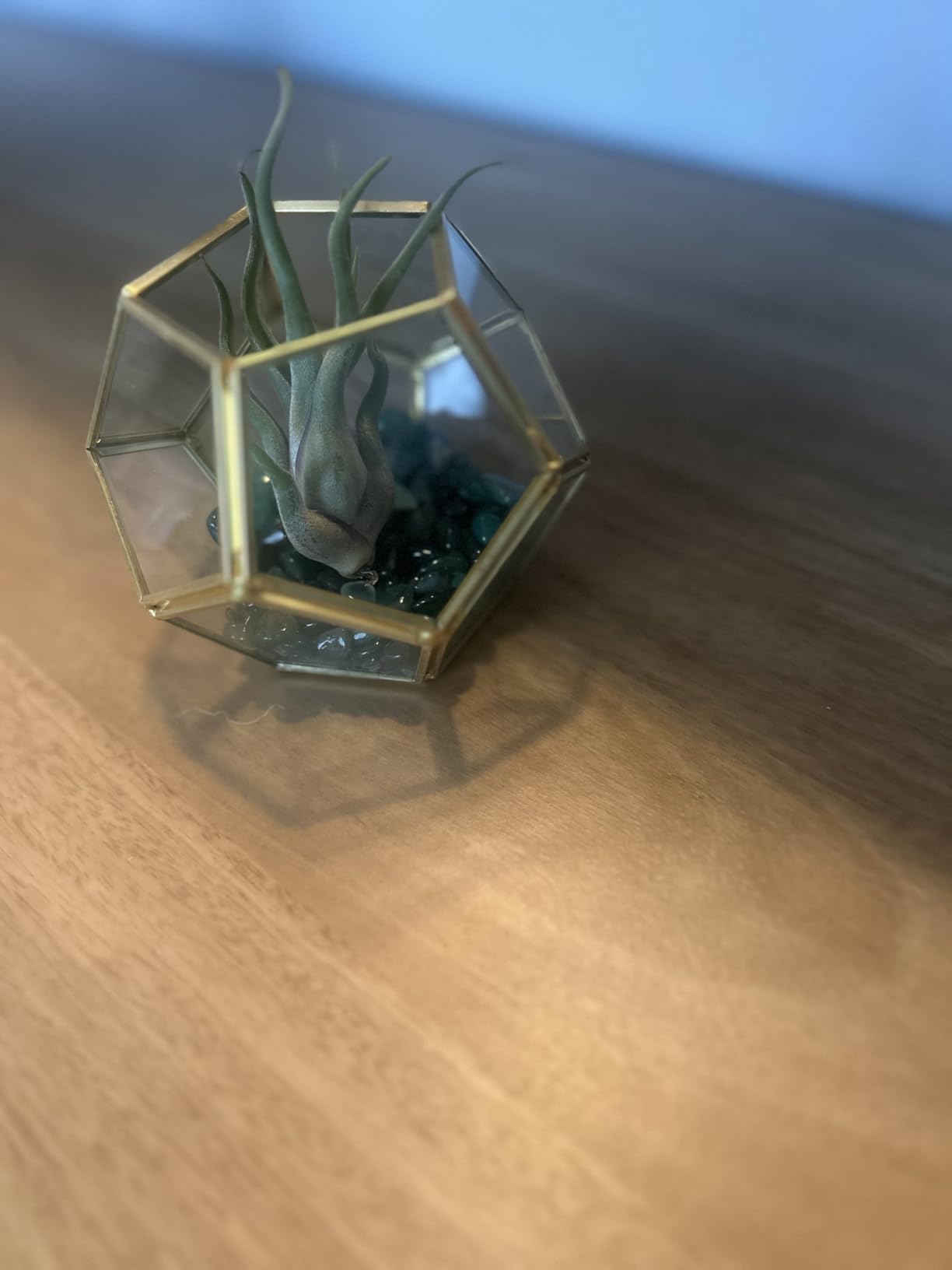 Mkono 3 Pack Geometric Glass Terrarium, 4
