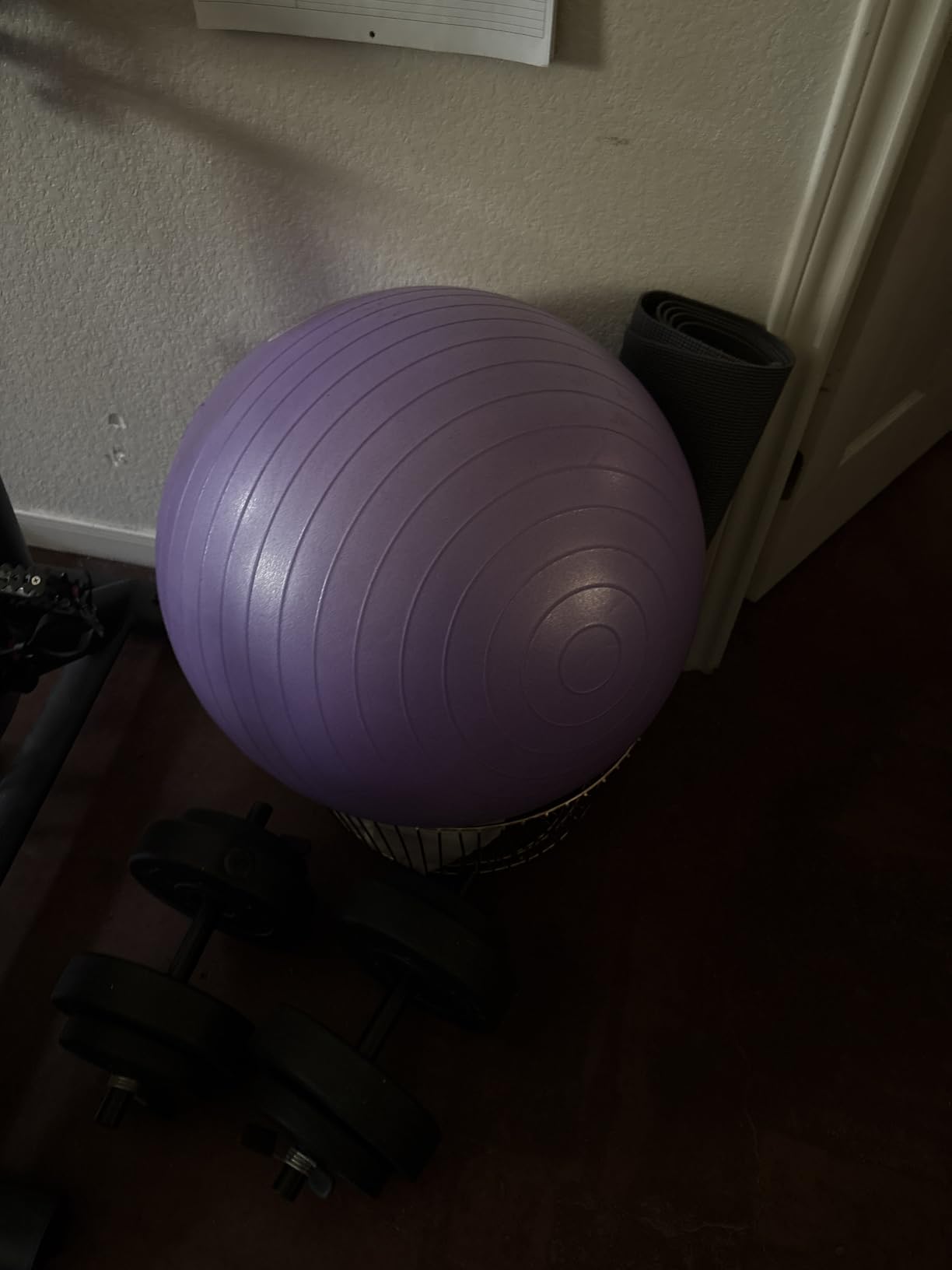 Fitvids Anti-Burst and Slip Resistant Exercise Yoga Fitness Birthing Ball with Quick Pump, 2,000-Pound Capacity, Multiple Colors and Sizes customer photo 2