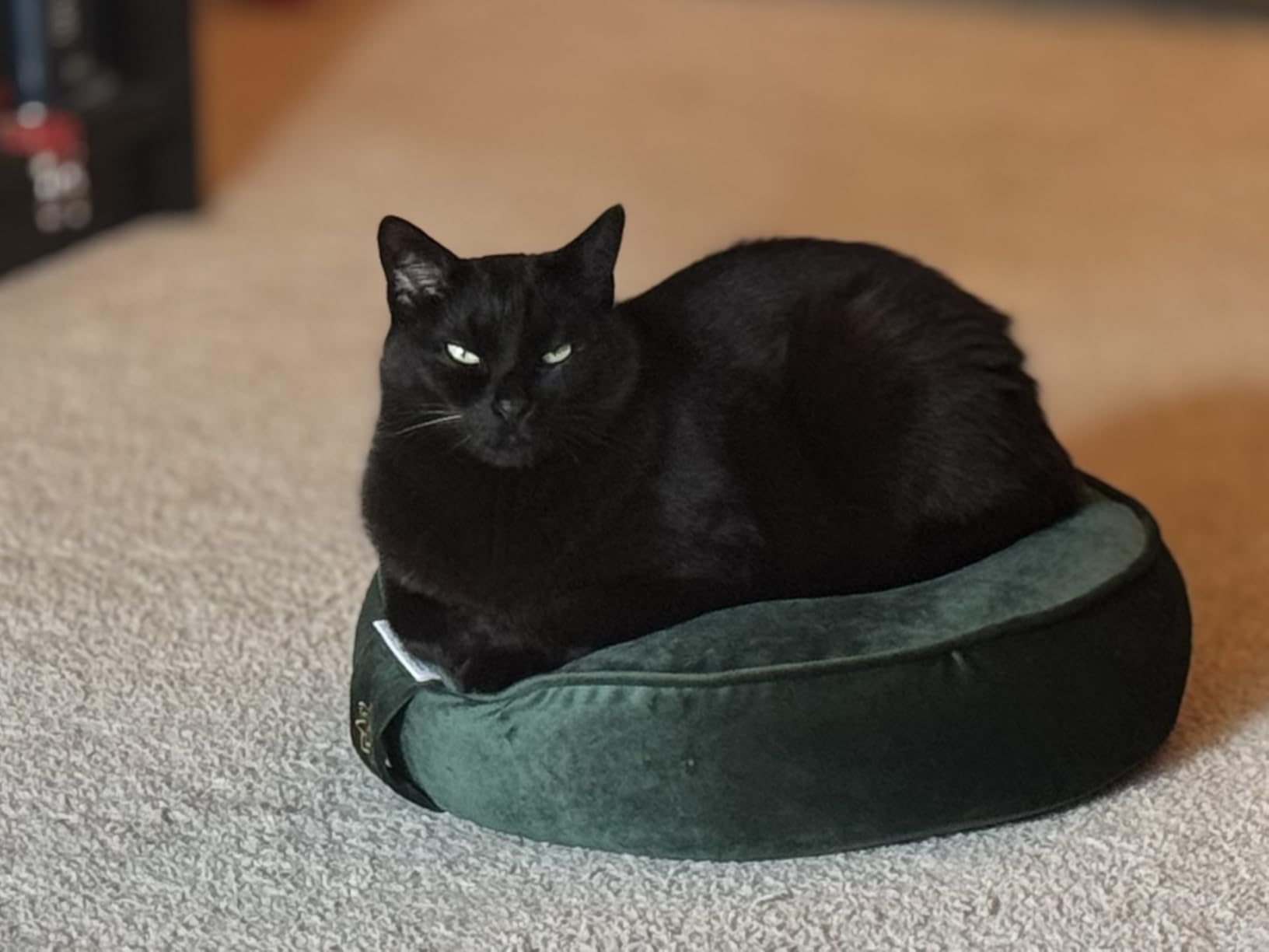 Mindful Modern Velvet Meditation Cushion customer photo 1