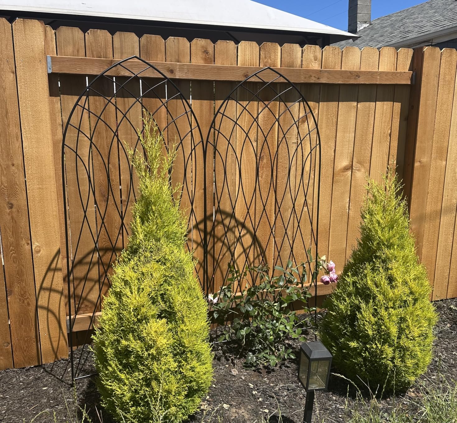 Amagabeli 2 Pack Large Garden Trellis for Climbing Plants 75