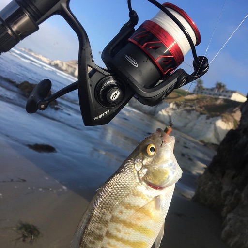 Penn Fierce III Spinning Inshore Fishing Reel, Size 2000 customer photo 1