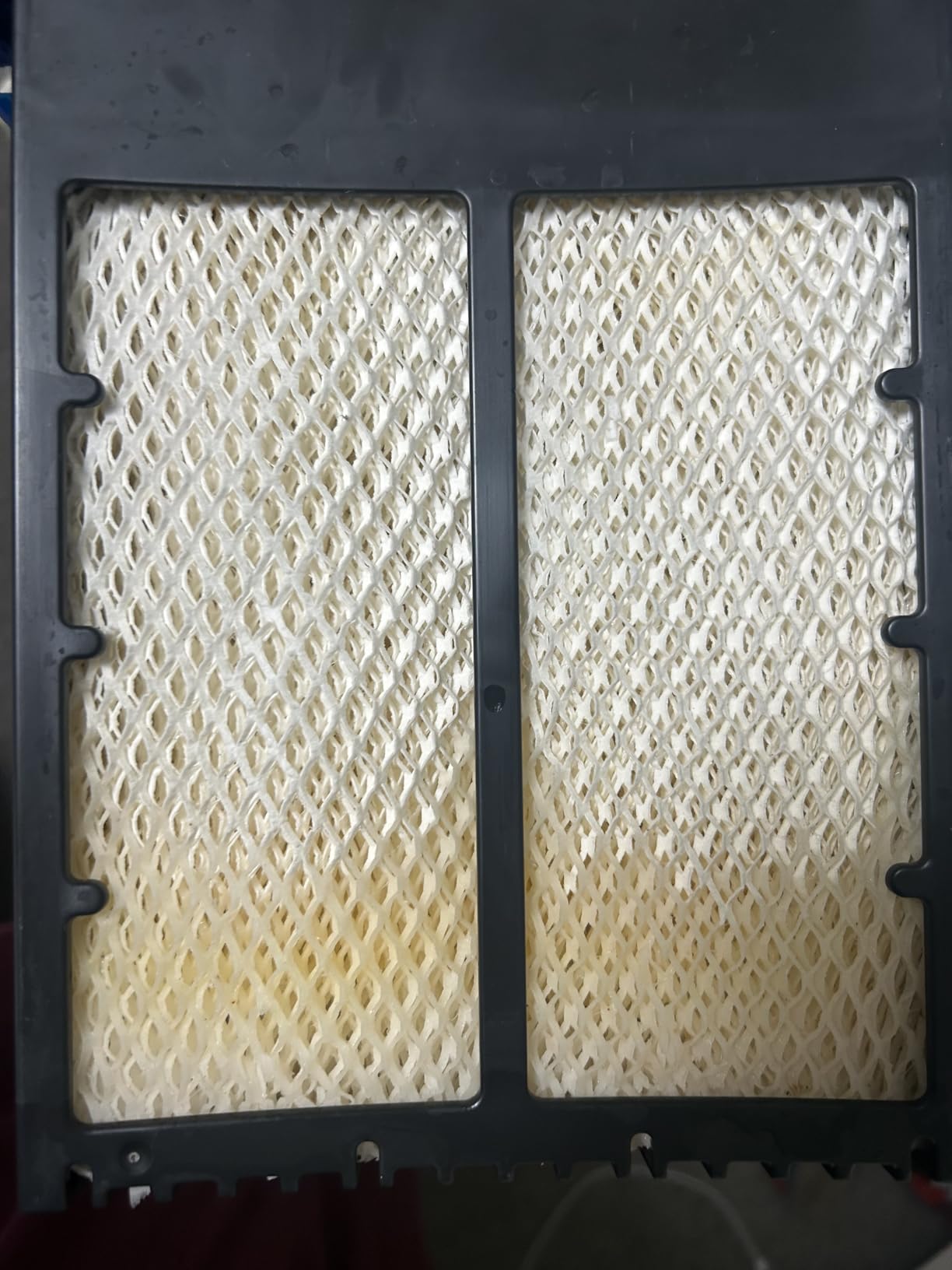 Honeywell Humidifier Wicking Filter T for Select Honeywell Models, 1 Pack | Works with HEV615 and HEV620 Tower Humidifier Filter for Cleaner Moisture, Helps Reduce White Dust customer photo 2