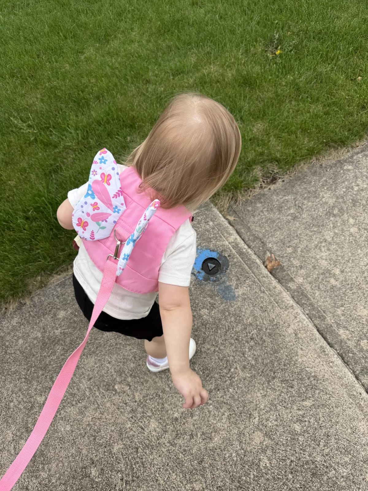 Accmor 3 in 1 Toddler Harness Leashes + Anti Lost Wrist Link, Kids Harness Children Leash for Girls, Child Anti Lost Leash Baby Cute Harness Belt Strap Hold Kids Close While Walking customer photo 2
