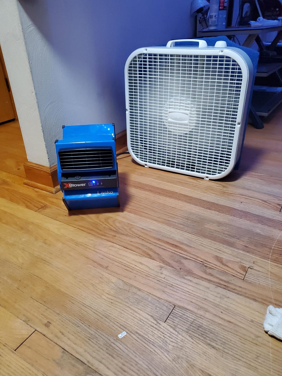 Lasko X-Blower High Velocity Pivoting Utility Blower Fan for Cooling, Ventilating, Exhausting, and Drying, 6 Position 3-Speed Floor Fan with AC Outlet, Circuit Breaker, USB Port, 11x9x12, Blue, X12905 customer photo 1