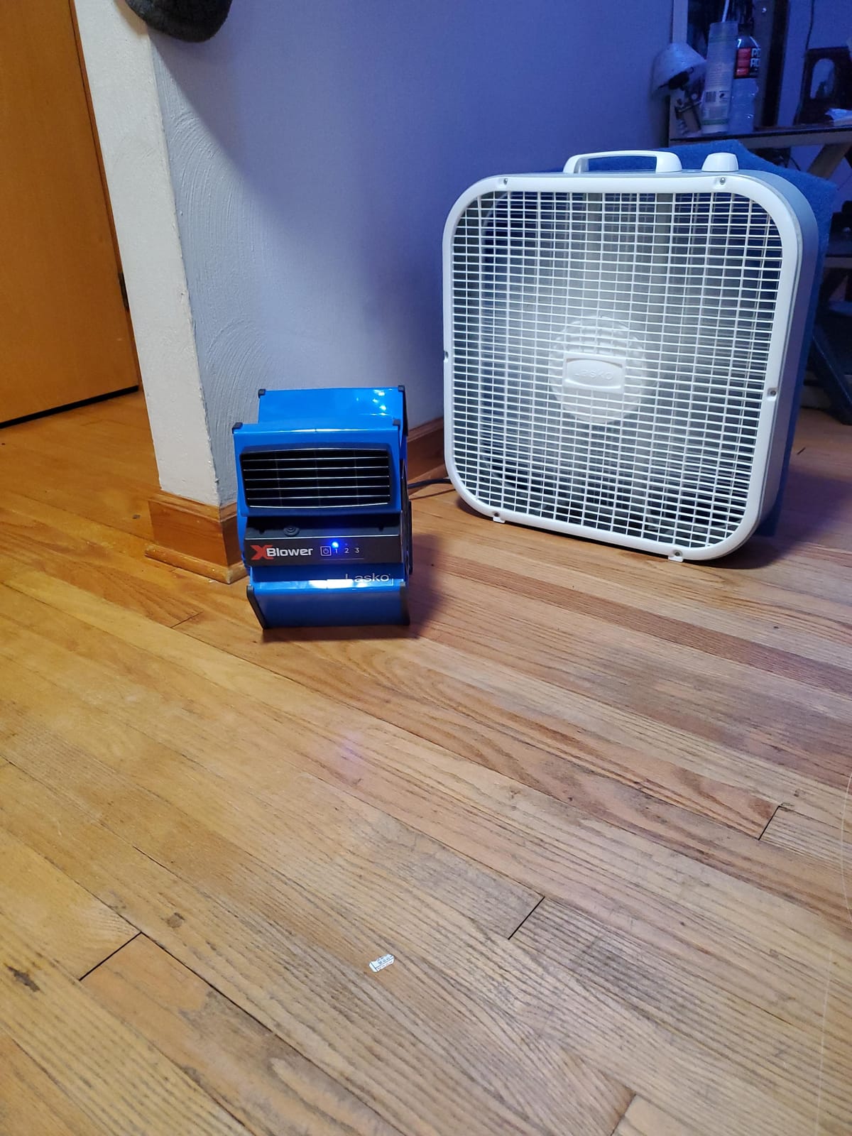 Lasko X-Blower High Velocity Pivoting Utility Blower Fan for Cooling, Ventilating, Exhausting, and Drying, 6 Position 3-Speed Floor Fan with AC Outlet, Circuit Breaker, USB Port, 11x9x12, Blue, X12905 customer photo 2