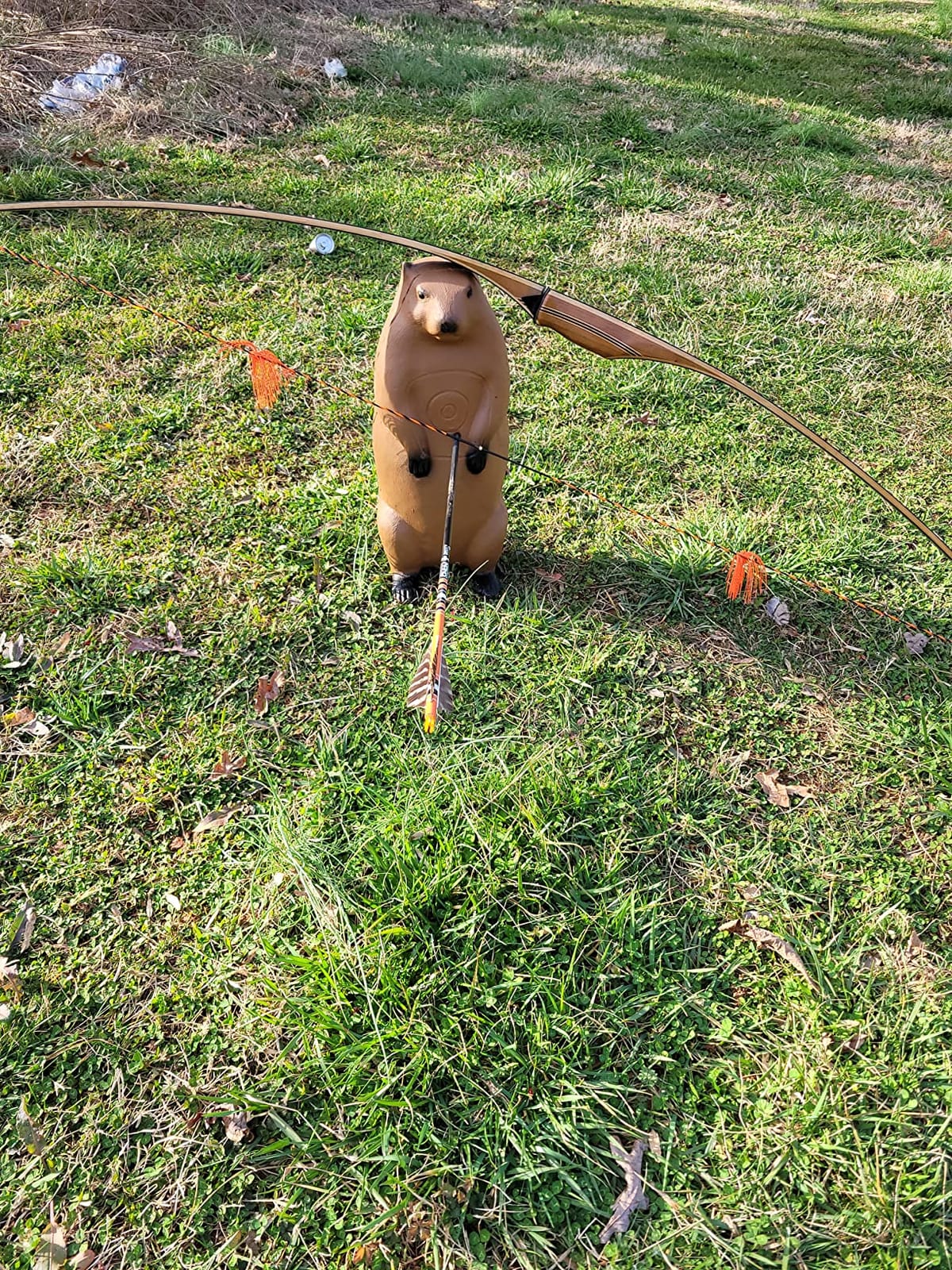 BIGSHOT Real Wild 3D Groundhog Archery Target - Self-Healing Foam Hunting Practice Target with IBO Scoring Rings - Field Point Compatible - Realistic Target for Compound & Recurve Bows customer photo 2