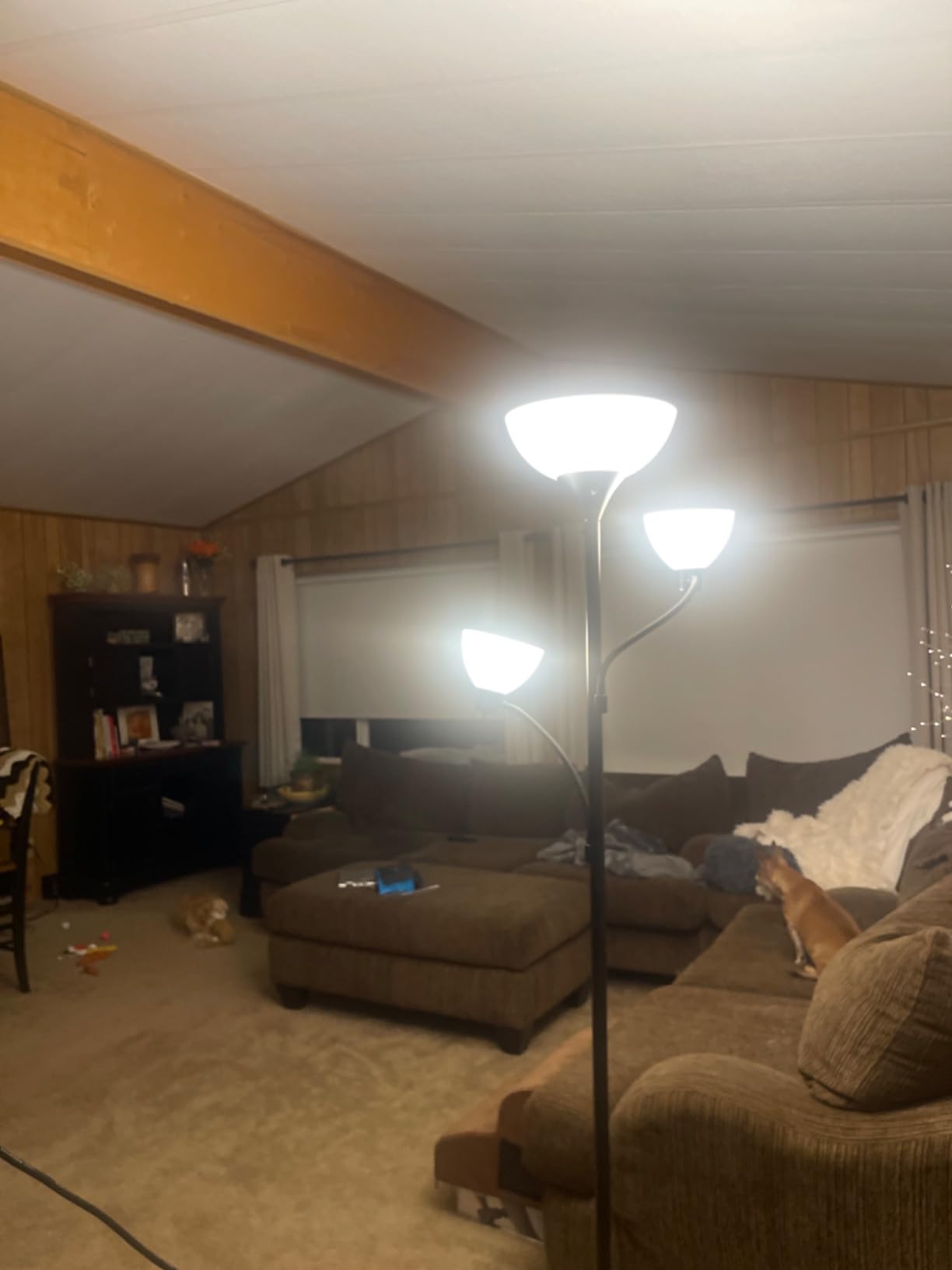 Brightech Sky Dome Double LED Floor Lamp, Torchiere Super Bright Floor Lamp with 2 Reading Lamps for Living Rooms & Offices - Dimmable Tall Standing Lamp for Bedroom Reading - Tall Black Pole customer photo 1