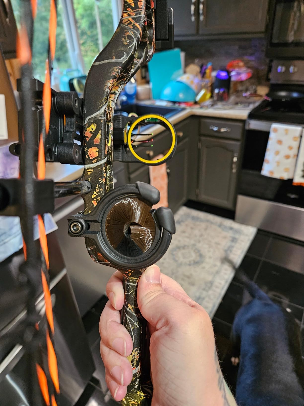 Bear Archery Royale Ready to Hunt Compound Bow Archery Set with Archery Accessories for Adults and Youths, 12