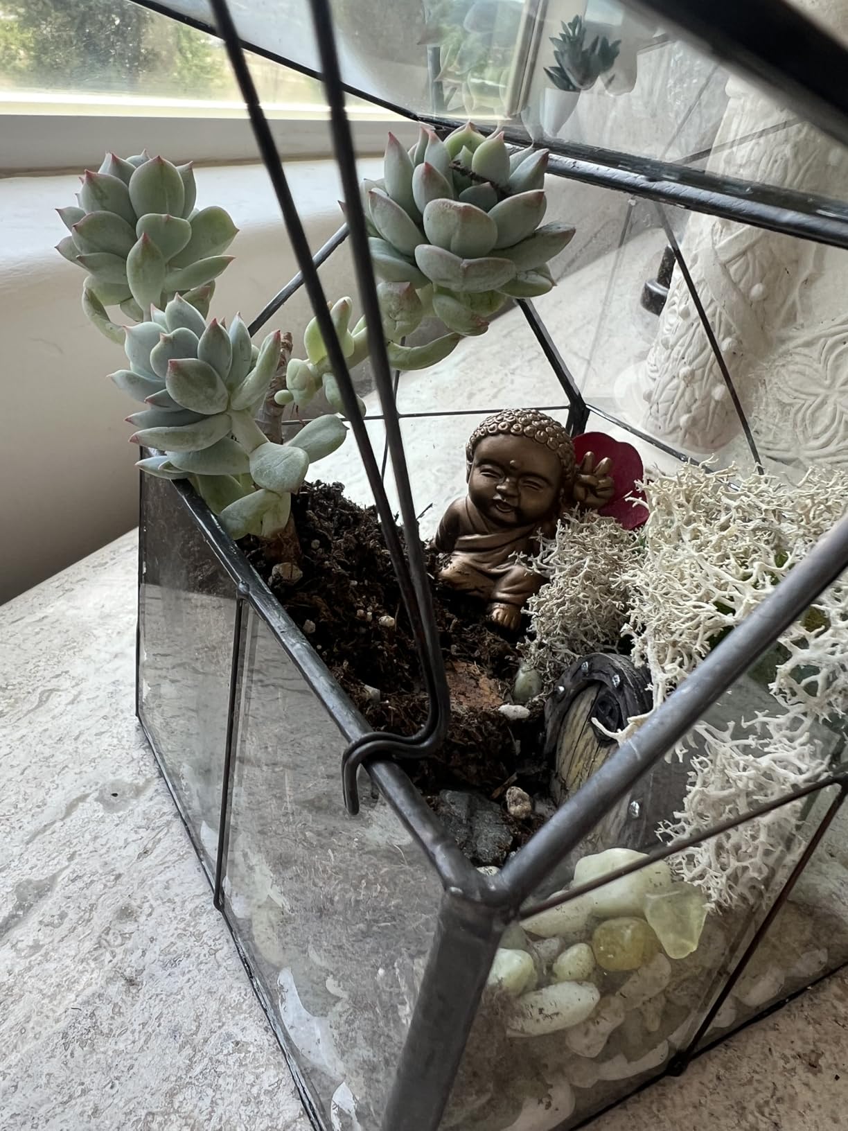 Ferrisland Glass Geometric Plant Terrarium, Clear Glass Succulent & Air Plant Planter for Moss, Fairy Garden, Home Garden Office Tabletop Decoration, DIY Craft Gift(5.0