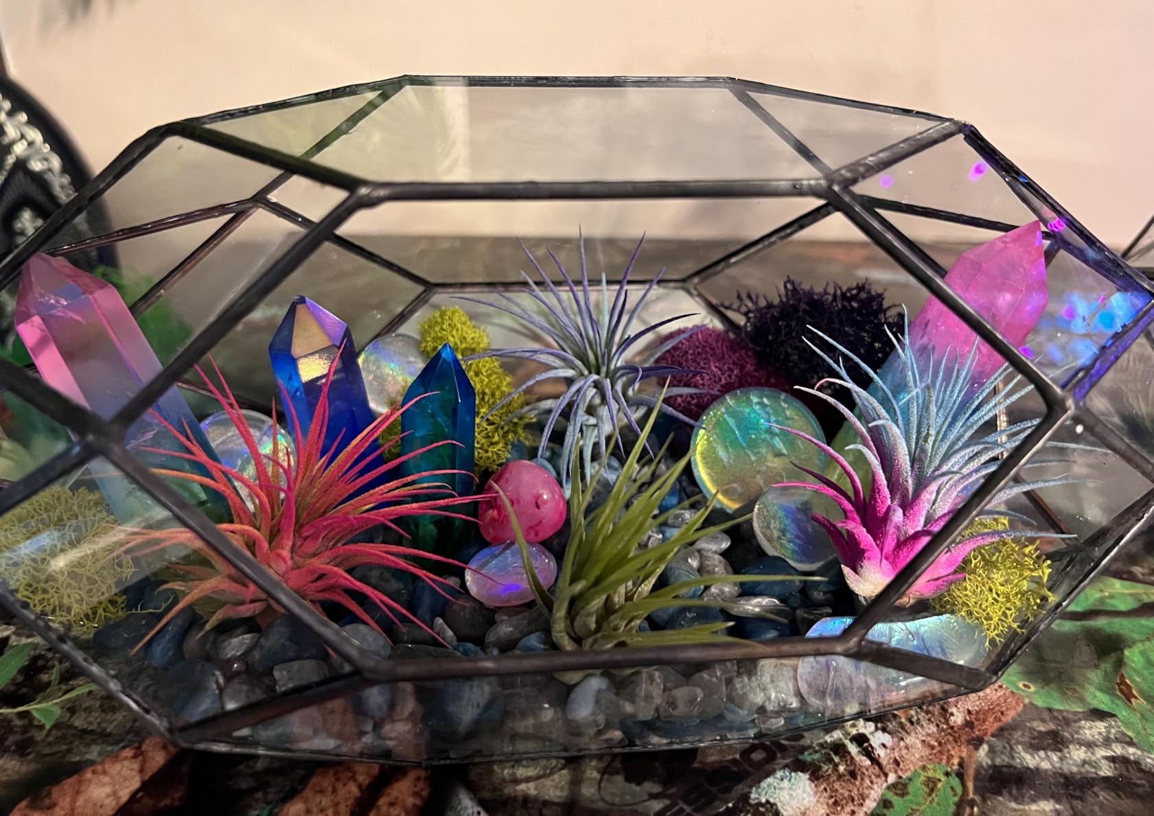 Ferrisland Glass Geometric Plant Terrarium, Clear Glass Succulent & Air Plant Planter for Moss, Fairy Garden, Home Garden Office Tabletop Decoration, DIY Craft Gift(5.0
