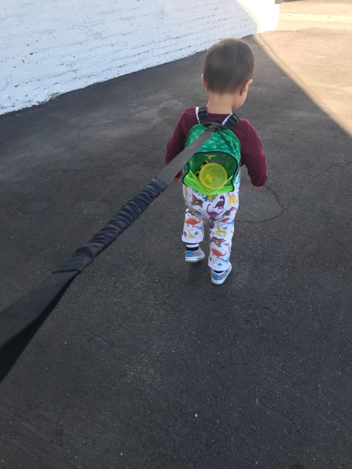 Munchkin Brica By-My-Side Toddler Safety Harness Backpack with Leash, Giraffe, Green customer photo 1
