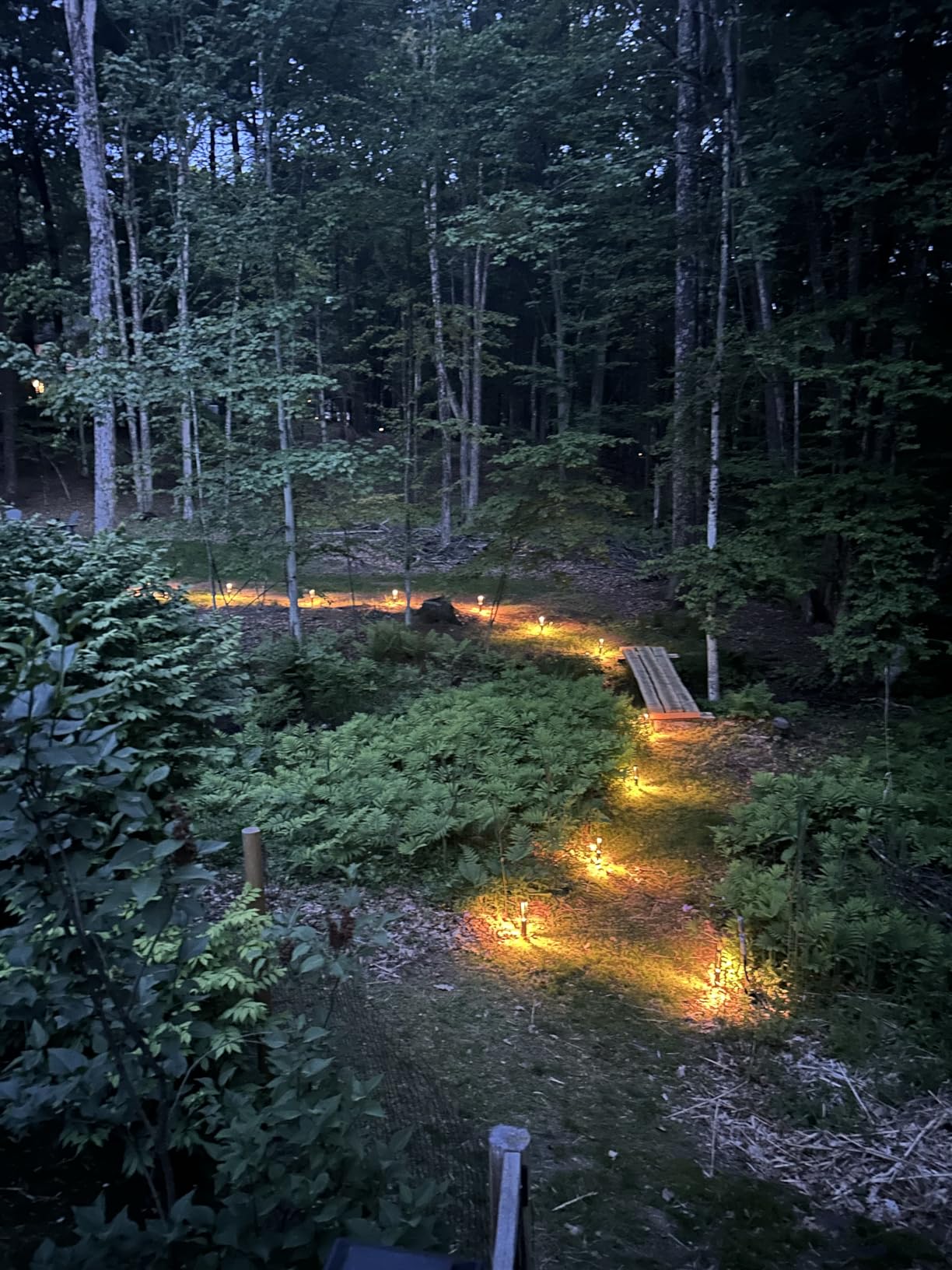 LEONLITE 12-Pack 3W LED Low Voltage Path Lights Aluminum 3000K Black | Landscape Pathway Lights, Outdoor Landscape Lighting for Driveway, Garden, 12-24V AC/DC, ETL, IP65 Waterproof, Warm White customer photo 2