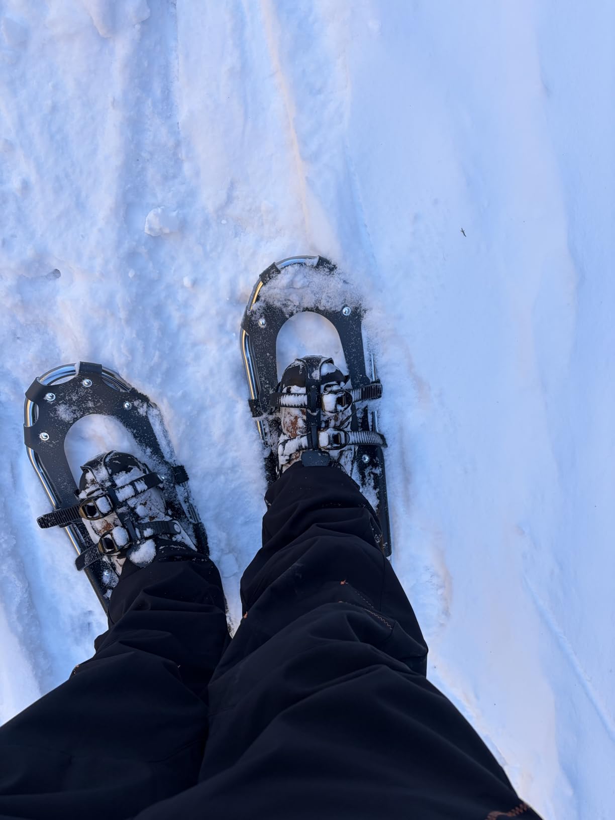 Snowshoes, Lightweight Aluminum Frame, 13-Point Heavy Duty Crampons, UV Shoe Decking, and Ratchet System for Secure Fit Complete with Carry Bag for Convenient Storage and Travel customer photo 1