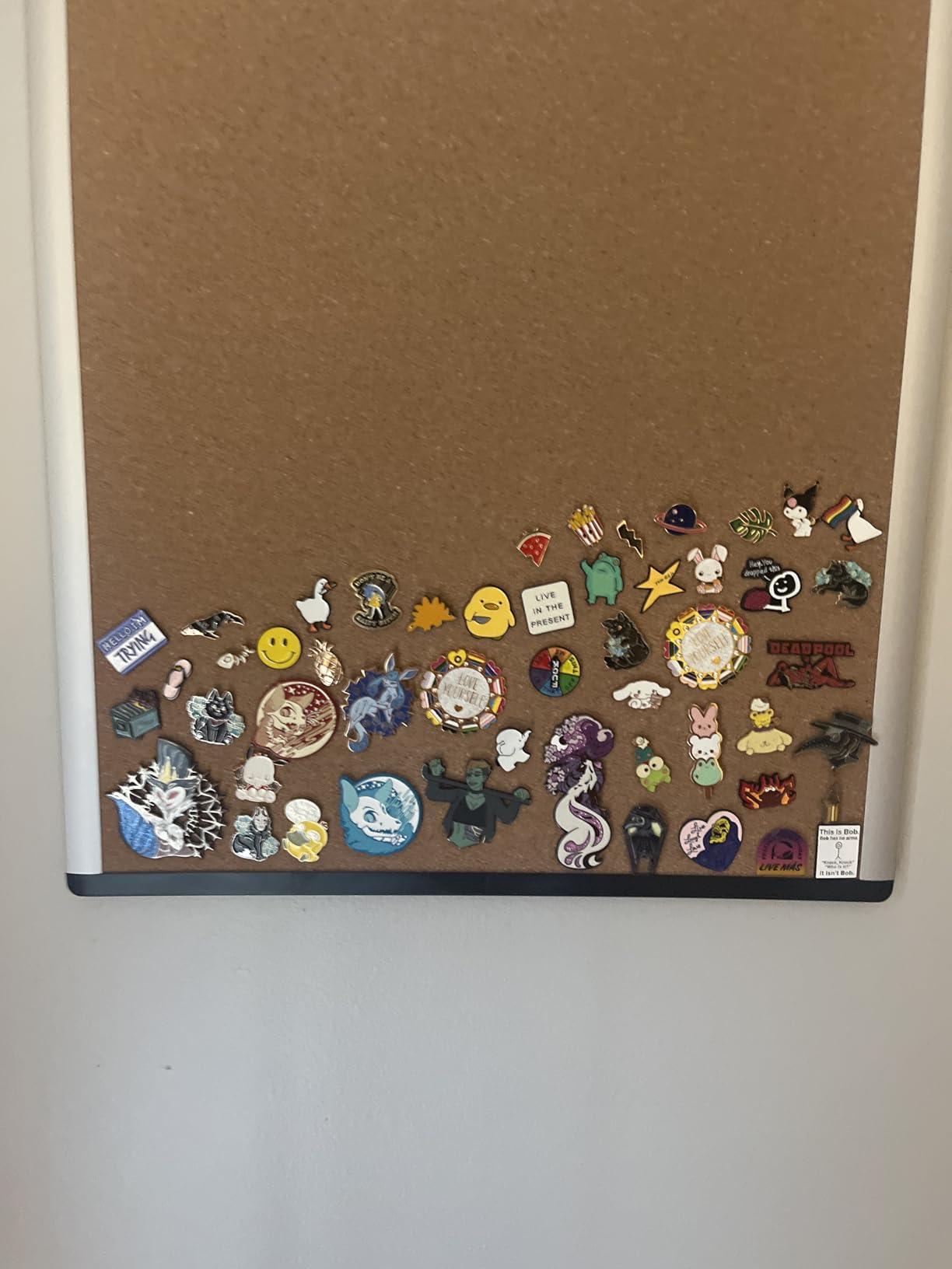 Amazon Basics Rectangular Bulletin Board, Cork Board for Wall, Vision Board for Classroom and Office, Aluminum Frame, 35