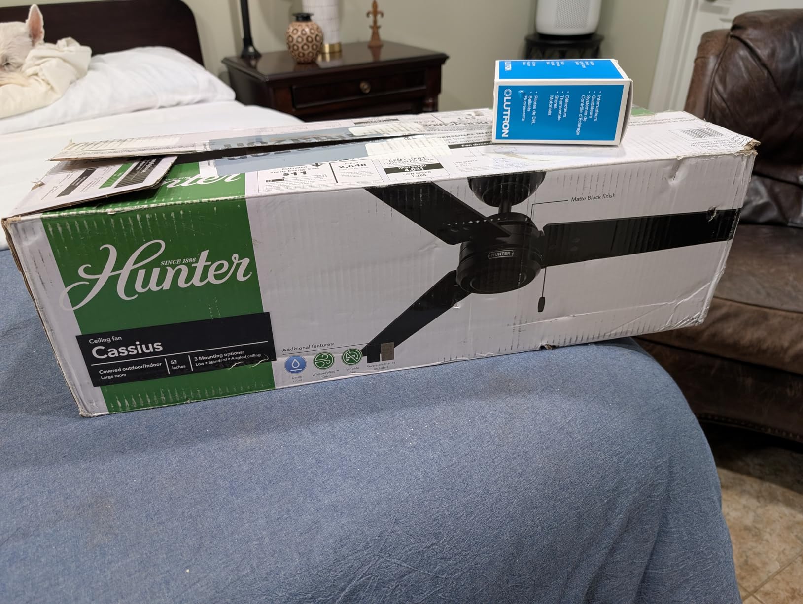 Hunter Cassius, Outdoor or Indoor, Ceiling Fan, 44 inch, Matte Black | No Light, Standard Mount, Pull Chain, 3 Blades, For Living Room, Patio, Porch, Garage, 50260 customer photo 1