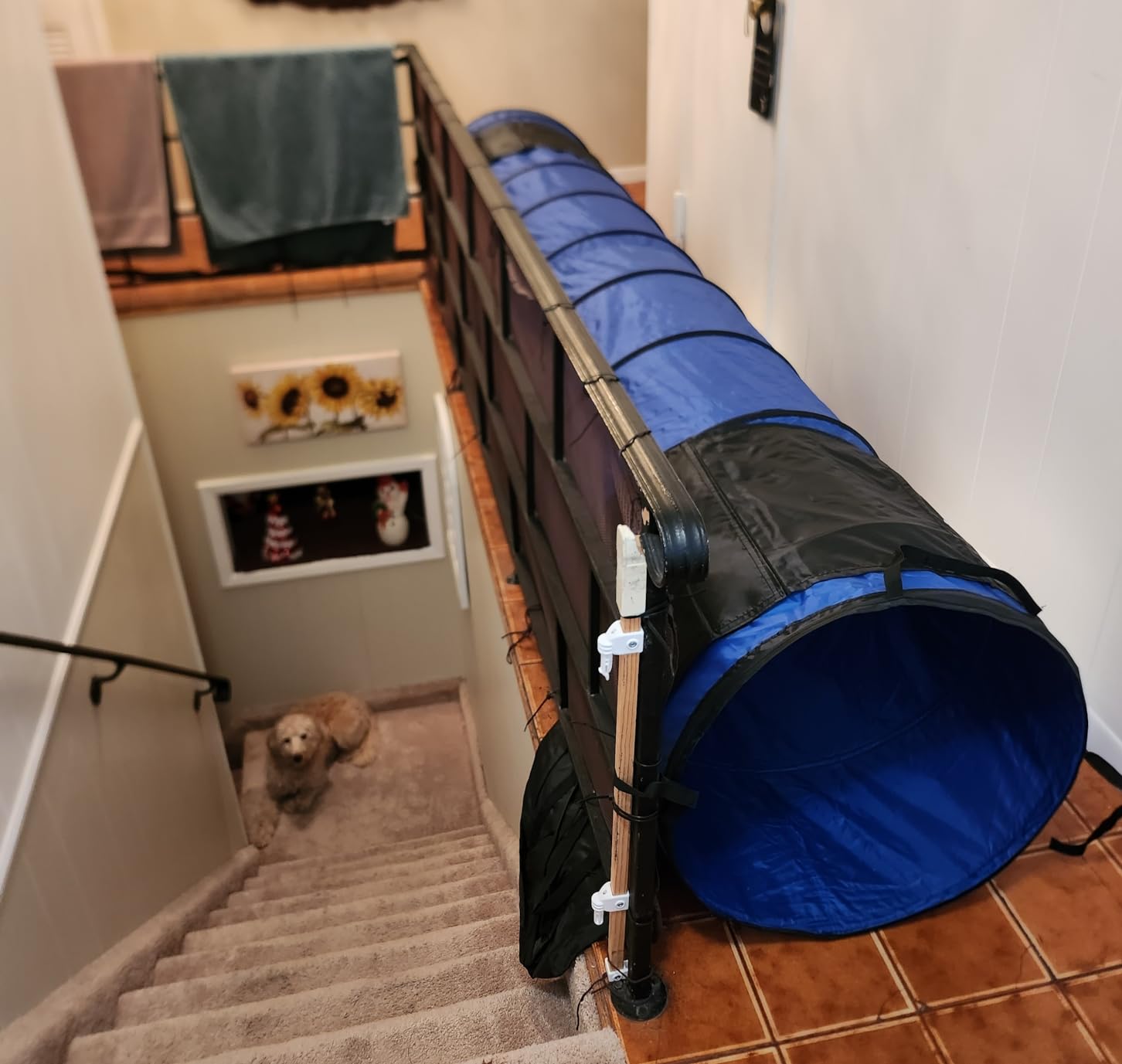 Better Sporting Dogs 10 Foot Dog Agility Tunnel | Includes Sandbags, Dog Agility Equipment, Dog Agility Training customer photo 2