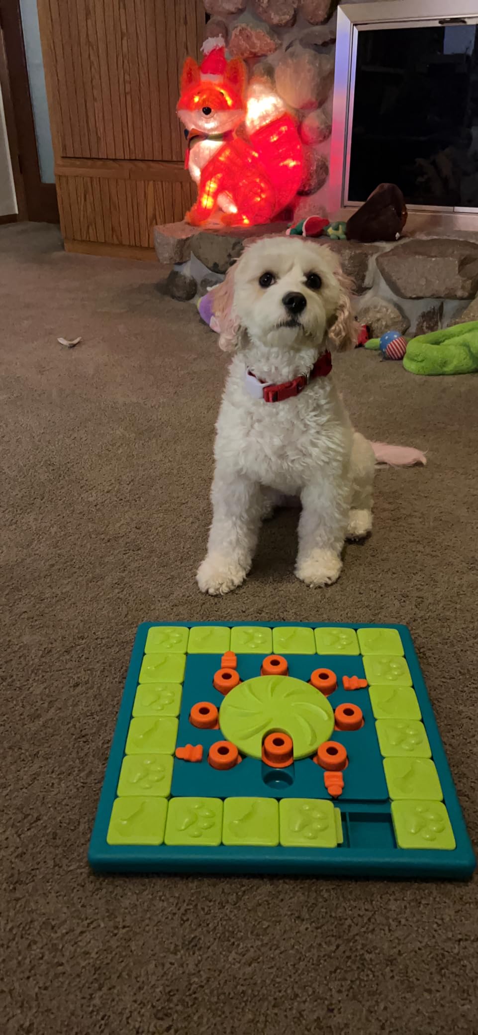 Outward Hound by Nina Ottosson MultiPuzzle - Interactive Dog Treat Puzzle Enrichment Toy, Level 4 Expert customer photo 2