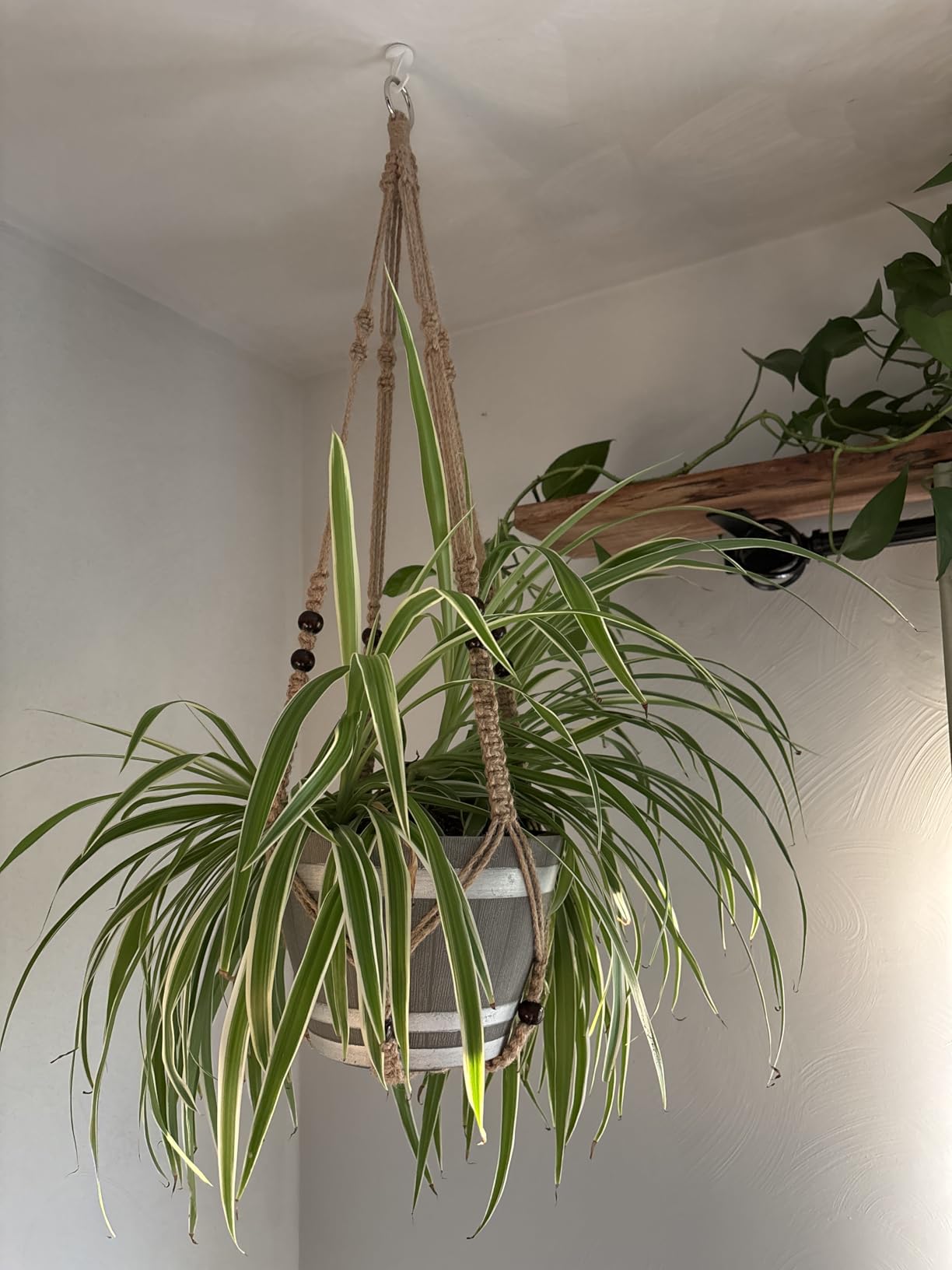 Mkono 3 Pack Macrame Plant Hangers Hanging Planters for Indoor Plants Brown customer photo 1
