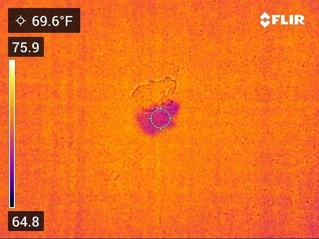 FLIR C5 Compact Thermal Imaging Camera, WiFi, 160x120 MSX, Ignite | -20 to 400C, 5MP visual, LED flashlight, Ignite cloud, pocket, battery, charger, case customer photo 2