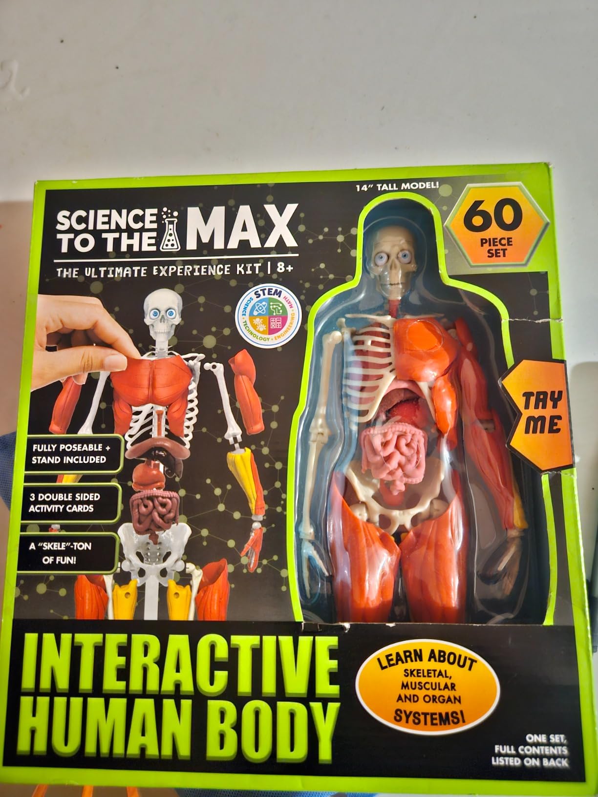 Be Amazing! Toys Interactive Human Body - 60 Piece Fully Poseable Anatomy Figure - 14