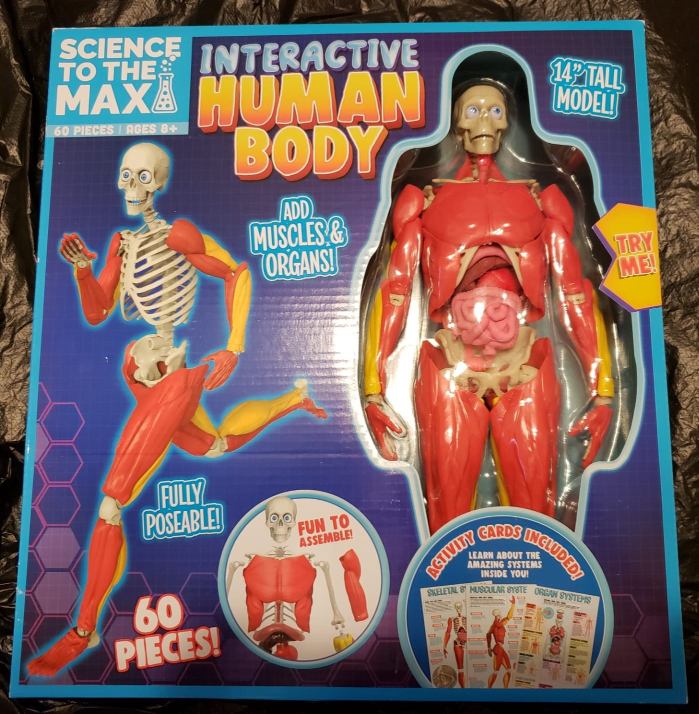 Be Amazing! Toys Interactive Human Body - 60 Piece Fully Poseable Anatomy Figure - 14