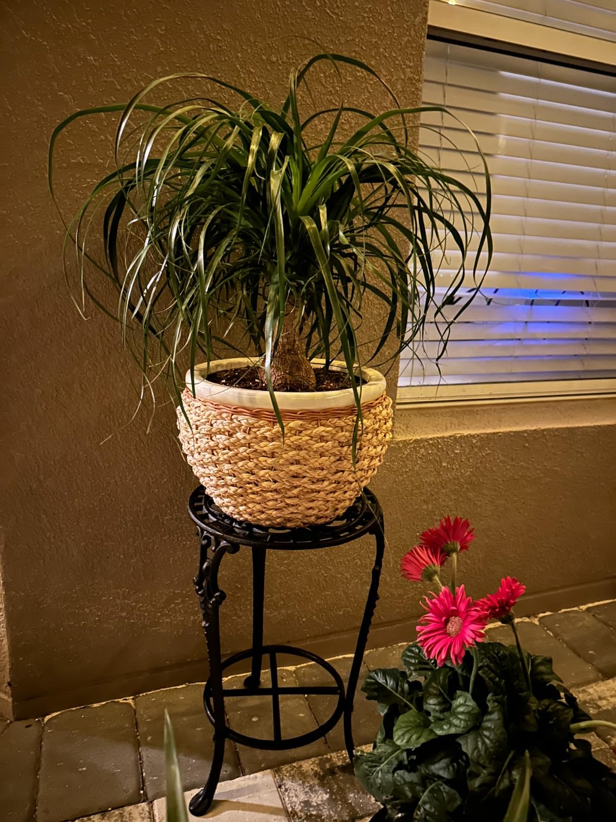 MDLUU Plant Stand 18.8 Inches Tall, Cast Iron Potted Plant Stand, 2-Tier Metal Planter Stand, Flower Pot Stand for Living Room, Bedroom, Kitchen Decor (Black) customer photo 2