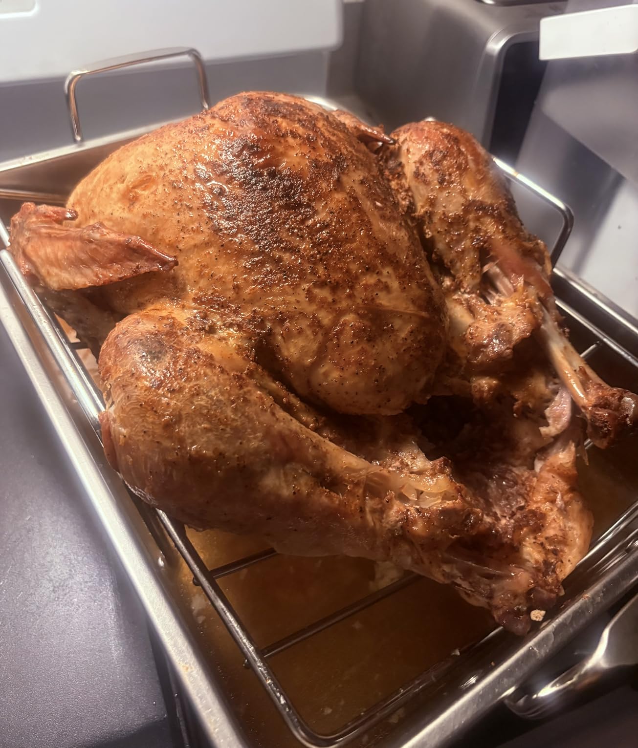 E-far Roasting Pan, 16 x 11.5 Inch Stainless Steel Turkey Roaster with V-shaped & Flat Rack, Non-toxic & Heavy Duty Deep Broiling Pan customer photo 2