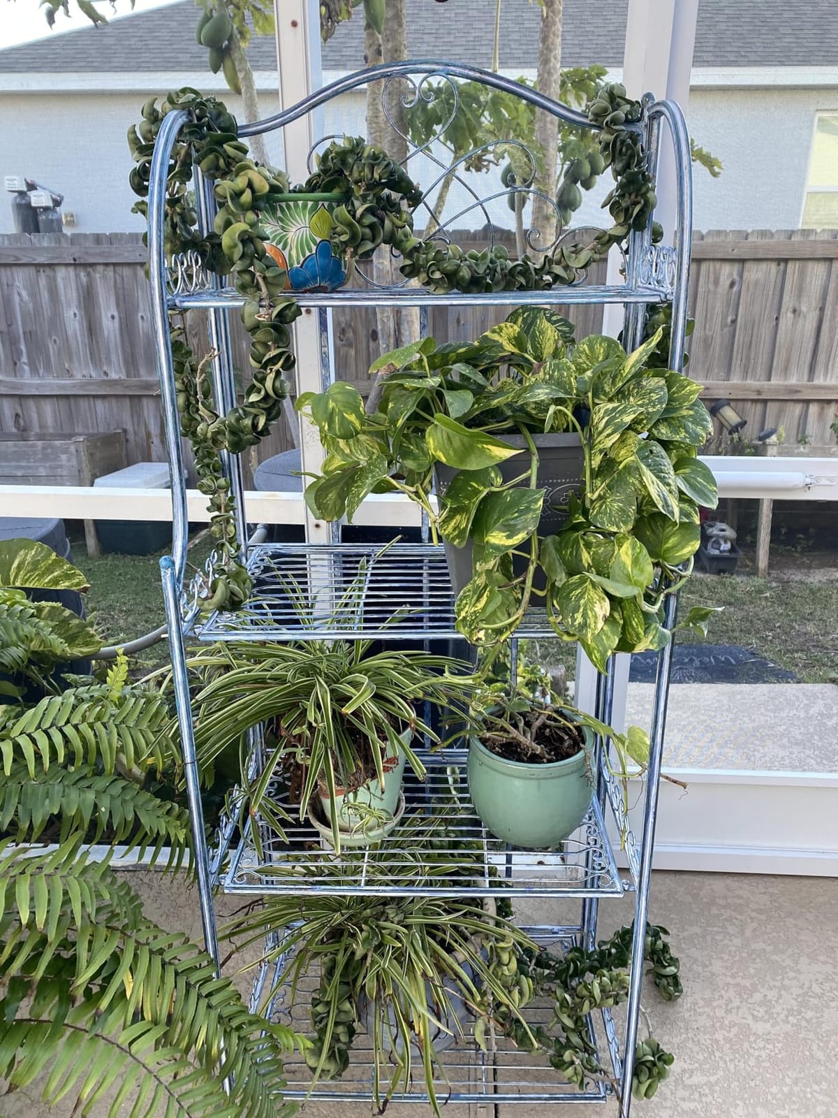 SAFAVIEH Outdoor - Amaris 4-Tier Bakers Rack - Mossy Blue Iron Metal - Vintage Victorian Scrollwork - Ideal for Patio, Deck, Porch, Sunroom, 14.5