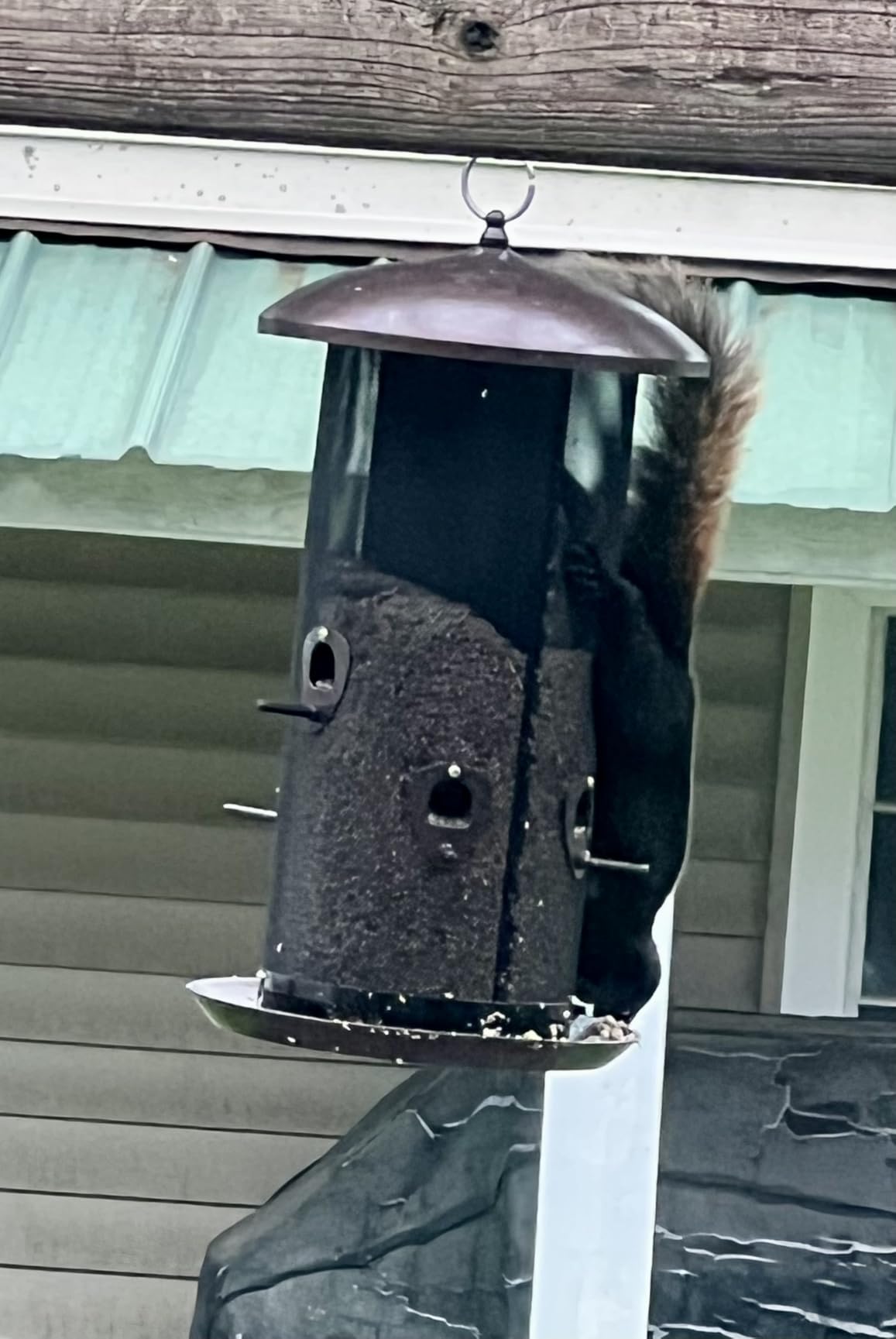 Nature's Rhythm Metal Hopper Bird Feeder Two Chambers, Heavy Duty Mesh Metal Dual Seed Compartments Outdoor Hanging Wild Bird Feeder with 10 Feeding Ports, 10lbs Seed Capacity customer photo 1