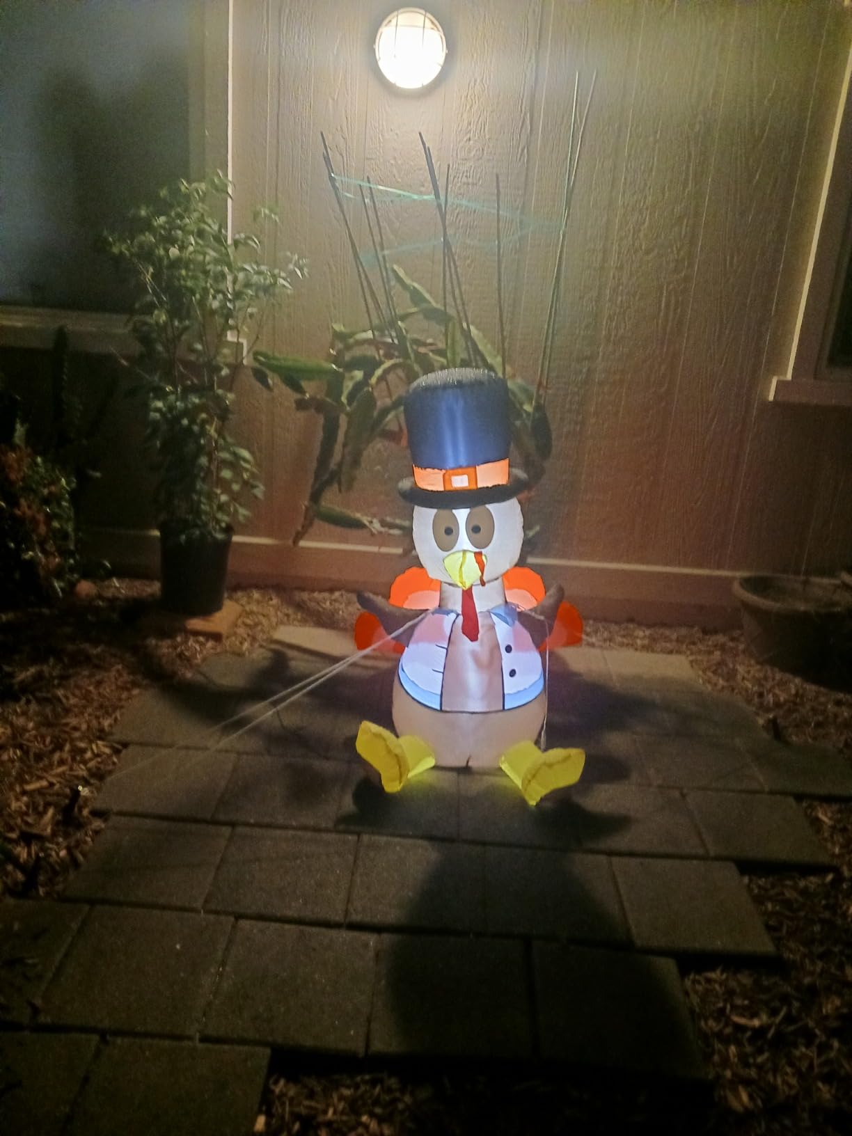 Thanksgiving Decorations Inflatables Turkey 3.5 Ft Cute Thanksgiving Fall Decor Light Up Inflatable Turkey with Weight Bag Air Blower Indoor Outdoor Lawn Halloween Inflatables Holiday Yard Decorations customer photo 1