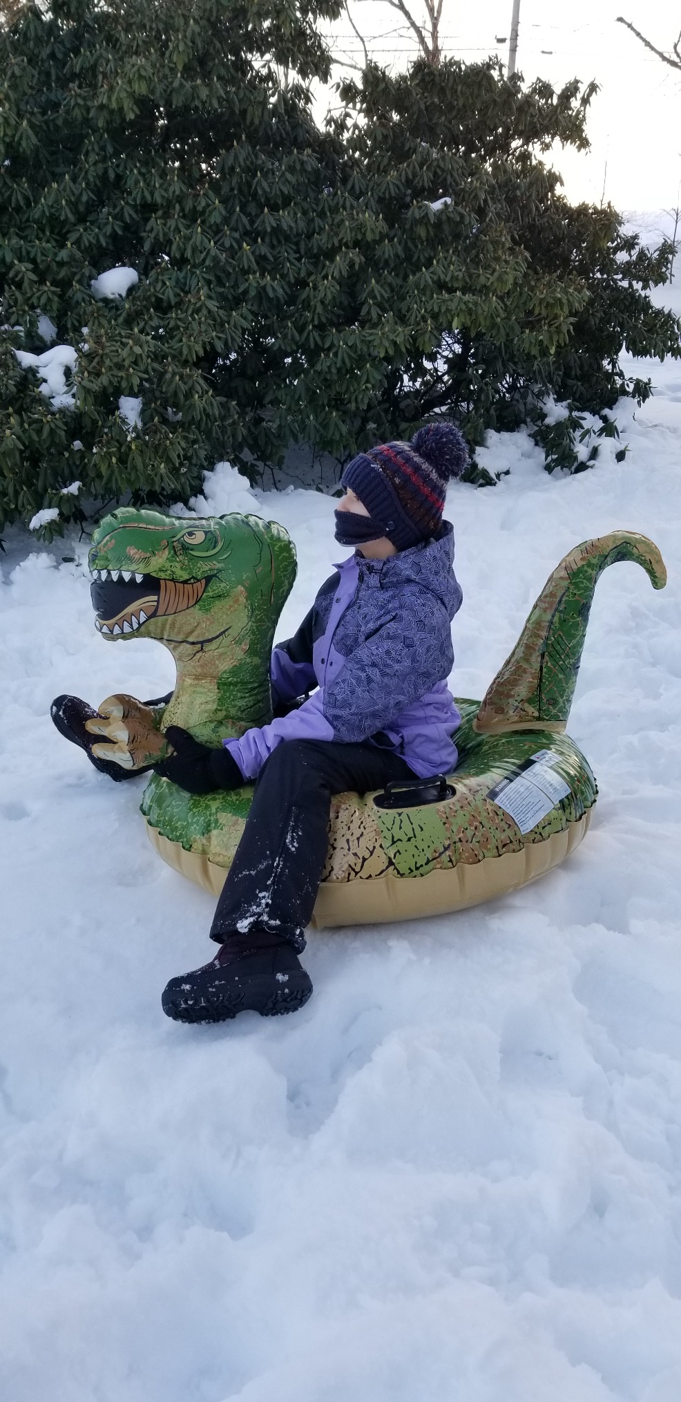 Dinosaur Snow Tube, FindUWill 64.9 inch Large Inflatable Snow Sled with Handles, Heavy Duty Snow Tubes Sledding for Kids and Adults (Reinforced Double-Layers Bottom) customer photo 1