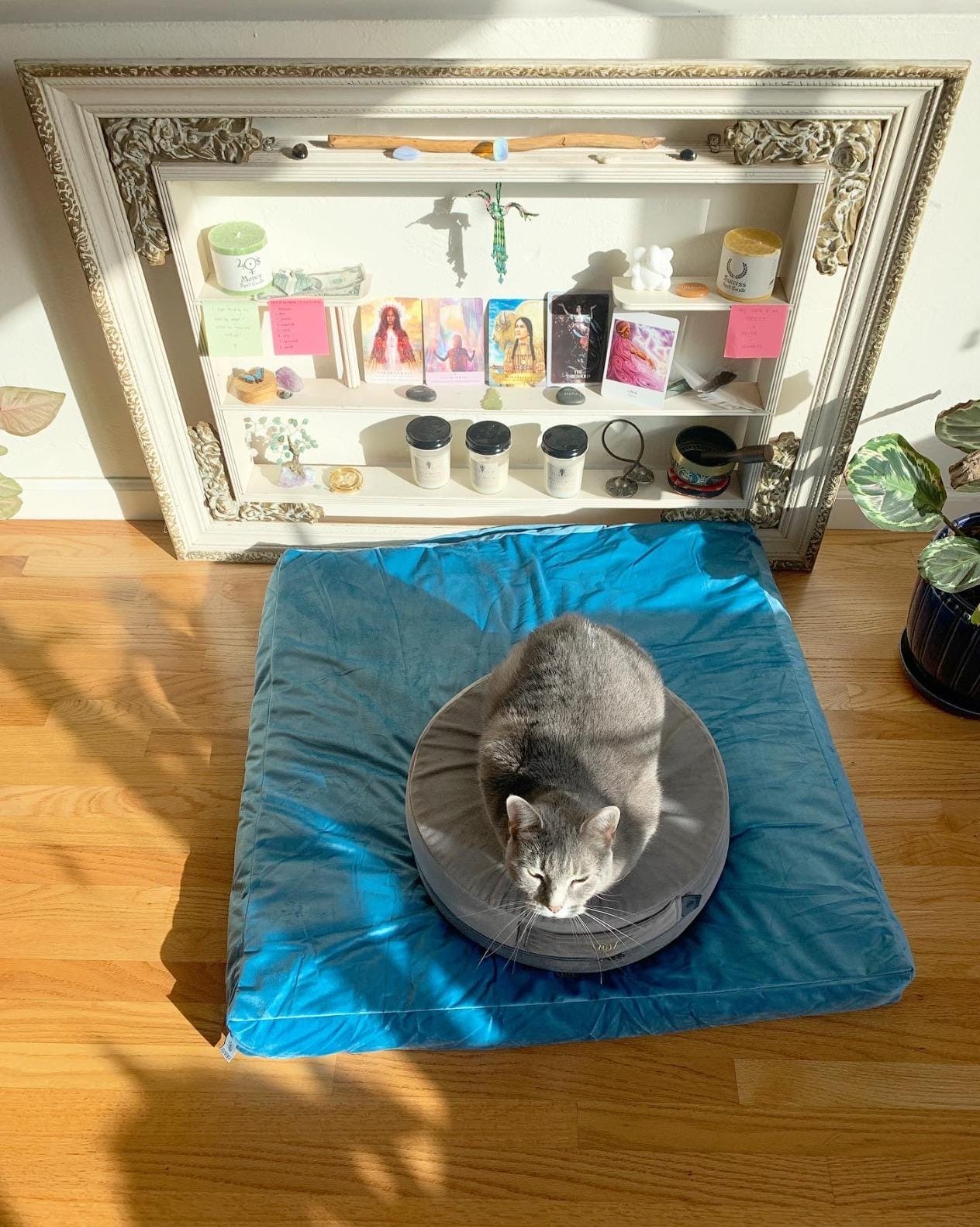 Florensi Zabuton Meditation Mat 32x32, Sage Green Velvet Floor Cushion | 32 x 32 inch zabuton meditation mat with cotton filling and velvet cover for comfortable floor seating support customer photo 1