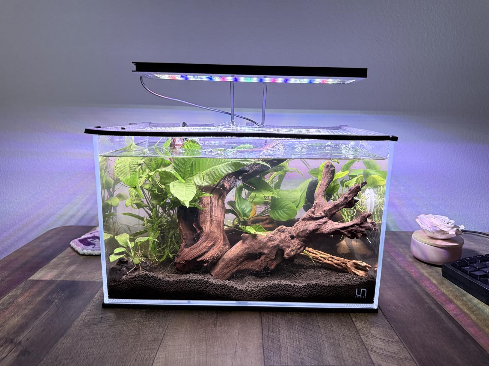 Ultum Nature Systems Ultra Clear Rimless Aquarium - Low Iron Glass Fish Tank with 45° Mitered Edges, 5mm-12mm Thick, Leveling Mat Included (5S, Shallow, 2 Gallon) customer photo 1