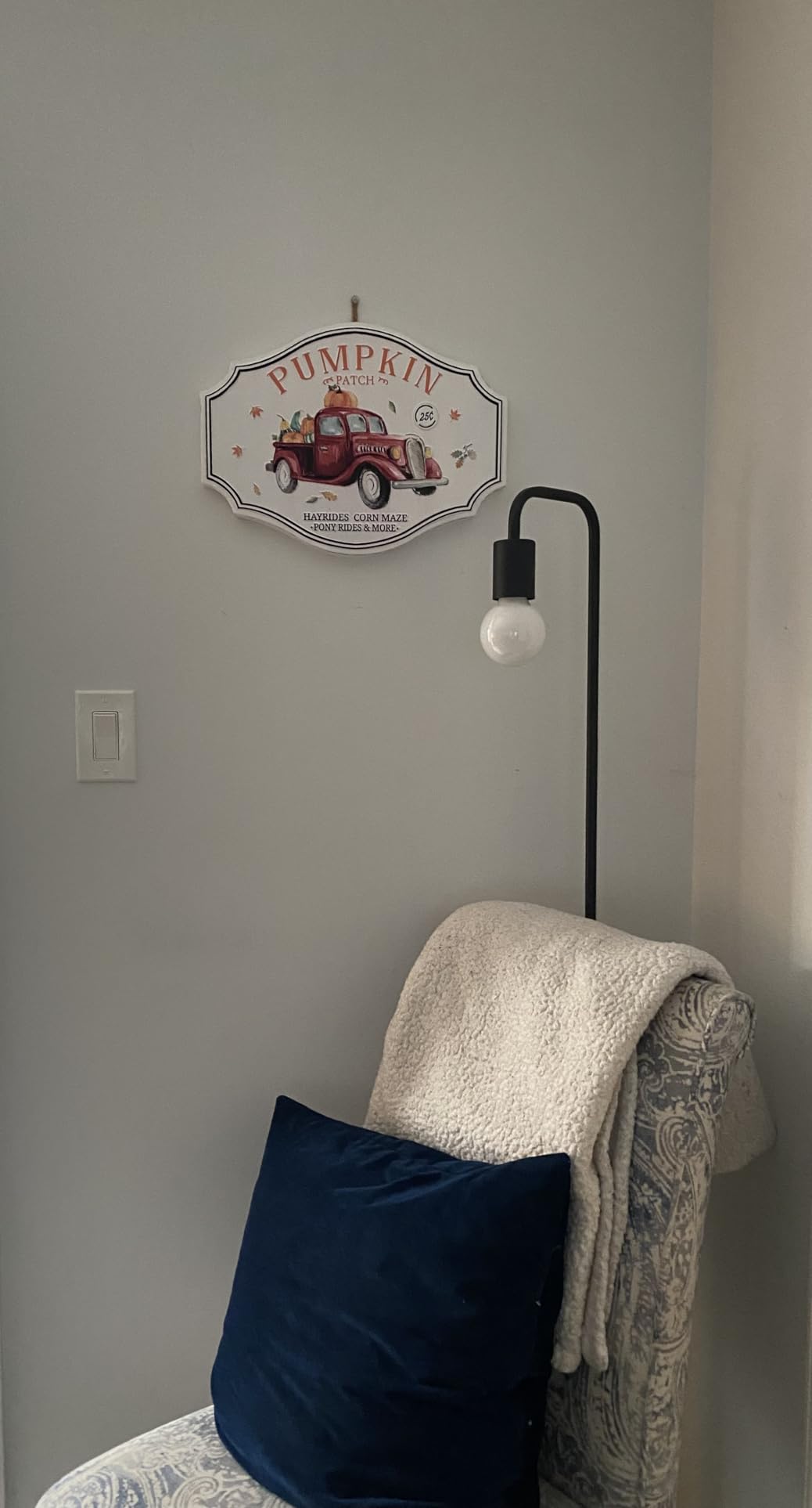 BoostArea Floor Lamp, Industrial Floor Lamp, 63 Inch Standing Lamp, E26 Socket, On/Off Footswitch, Whole Metal, ETL Listed, Modern Small Lamp for Bedroom, Living Room, Minimalist, Vintage, Mid Century customer photo 2