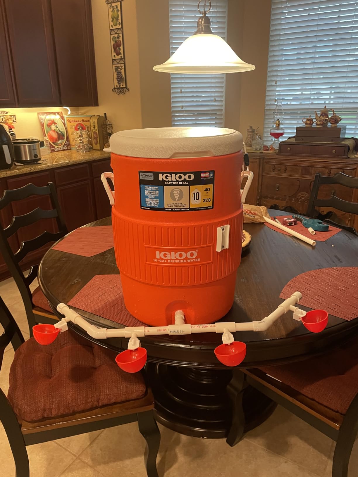 Igloo Sports Cooler | Insulated Beverage Dispenser with Spout | Portable Handwashing Station customer photo 2
