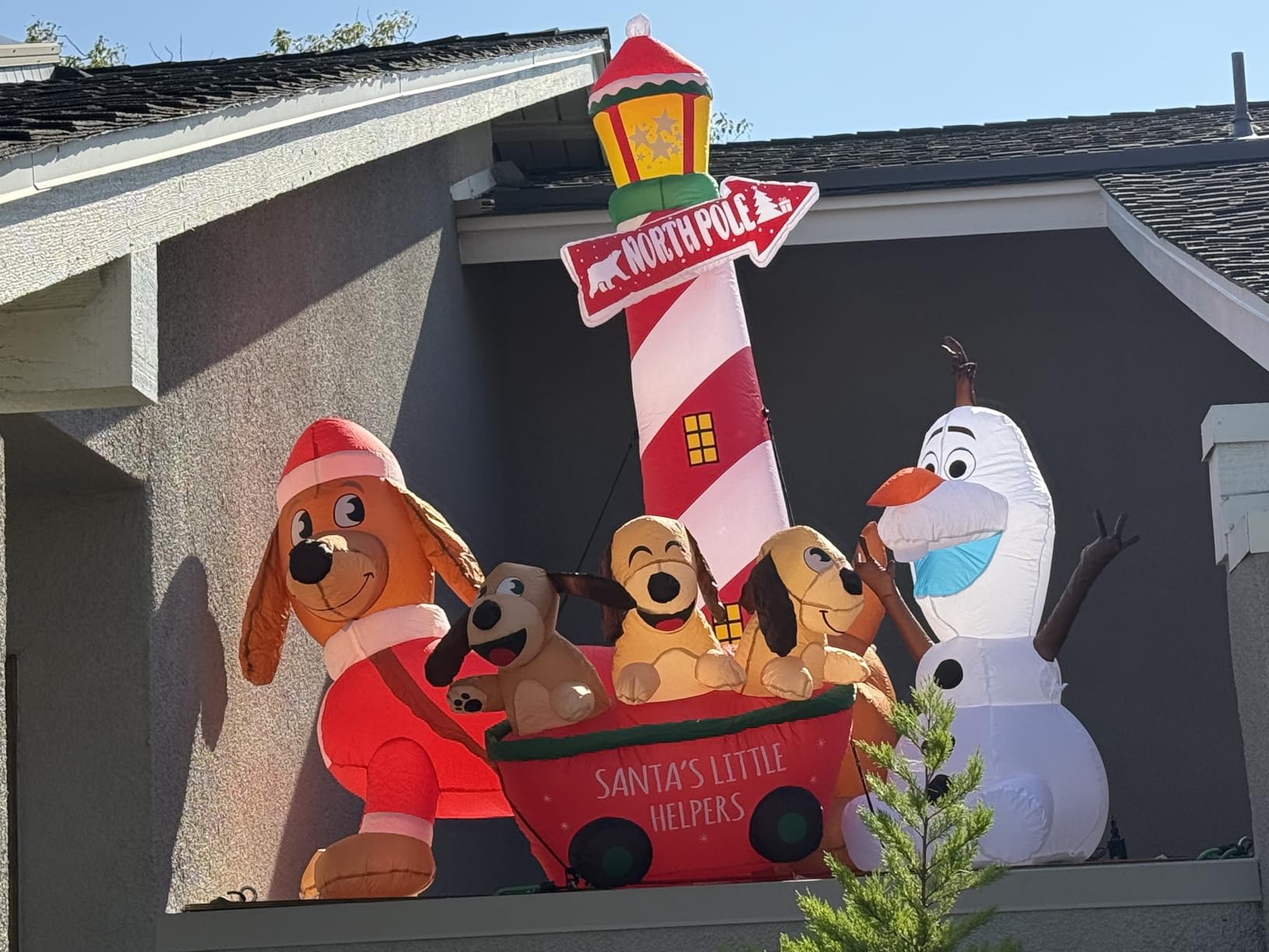 Joiedomi 5 FT Long Christmas Puppy Inflatable with Built-in LEDs, Self-Inflatable for Dachshund Blow Up Yard Decoration Xmas Party Indoor, Outdoor Yard Garden, Lawn Winter Decor customer photo 2
