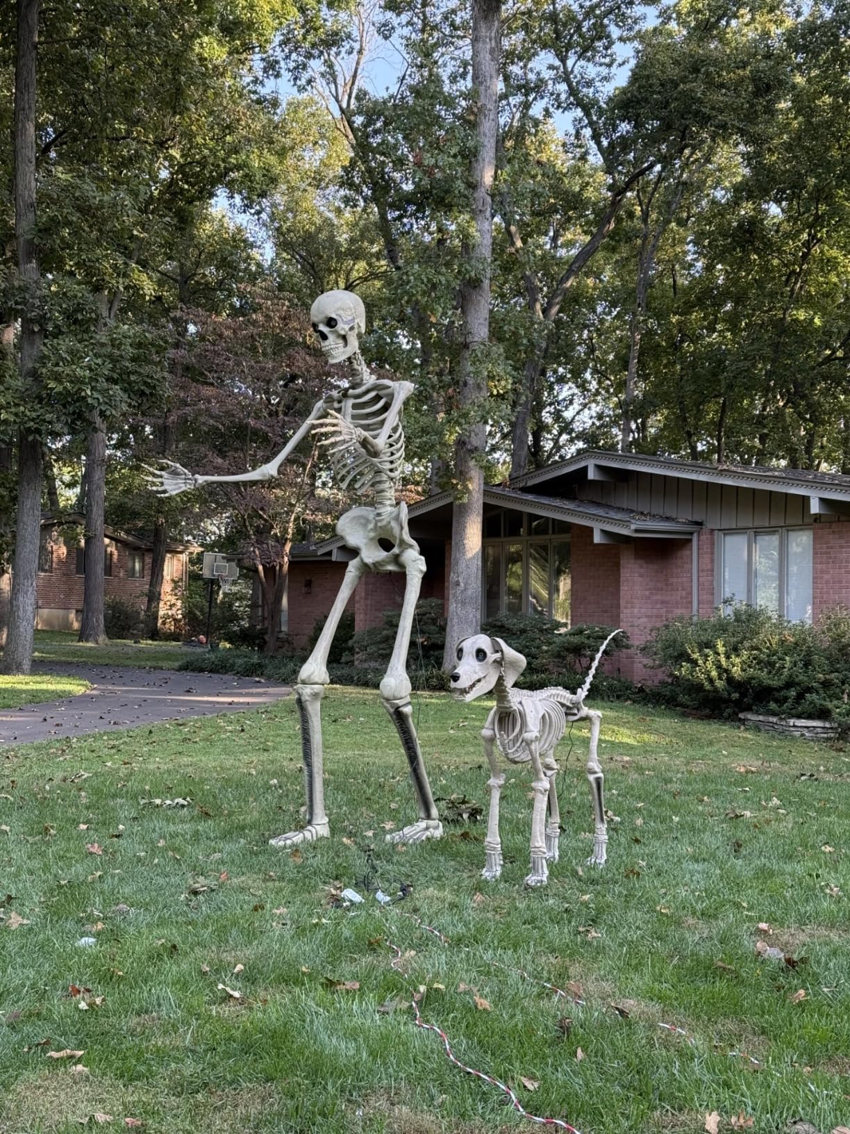 Home Accents 12 ft. Giant-Sized Skeleton with LifeEyes customer photo 2
