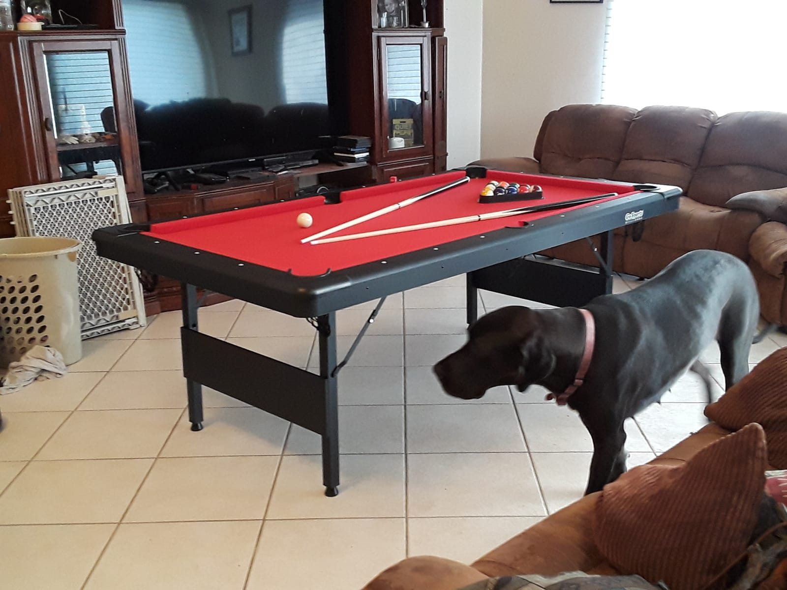 GoSports Billiards Game Table - Foldable Design, Includes Full Set of Pool Balls, 2 Cue Sticks, Chalk, and Felt Brush customer photo 1