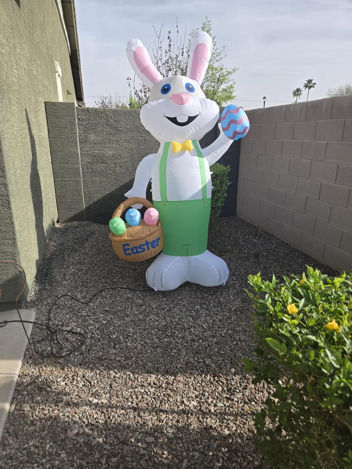 TURNMEON 8 Feet Giant Bunny Easter Inflatables Outdoor Decoration, Lighted Blow up Rabbit Holds Easter Eggs Basket with Tether Stakes LED Light Easter Decor Home Yard Lawn Garden Party Easter Egg Hunt customer photo 1
