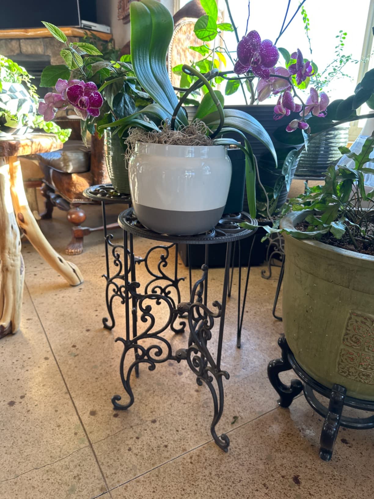OwnMy Heavy Duty Cast Iron Plant Stand Indoor Outdoor Flower Pot Holder customer photo 2