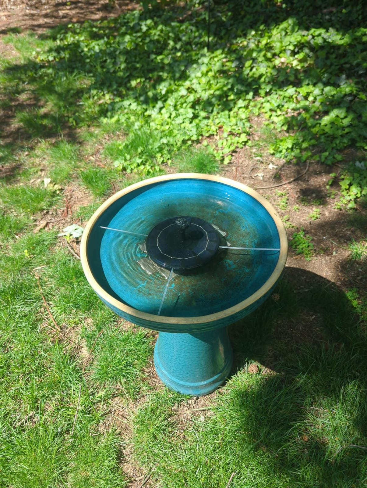 AISITIN 2.5W Solar Bird Bath Fountain Pump with 6 Nozzles & 4 Fixer | 6.7
