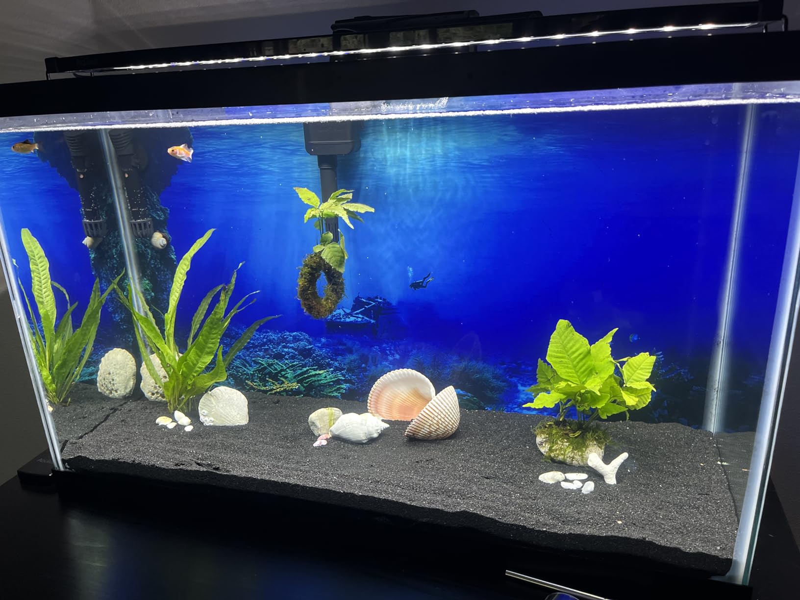 3D Aquarium Background Sticker Underwater Effect Poster PVC Static Cling 24x16 inch Waterproof for Freshwater Saltwater Tanks customer photo 2