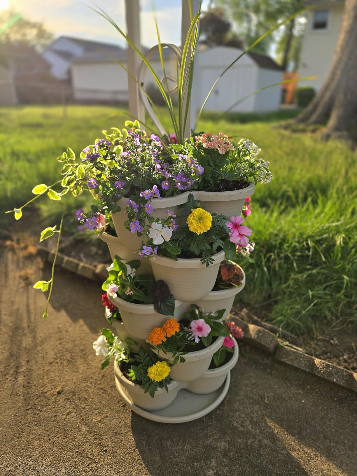 VIVOSUN 2-Pack 5 Tier Vertical Gardening Stackable Planter for Strawberries | Planter for Flowers, Herbs, Vegetables, Brown customer photo 2