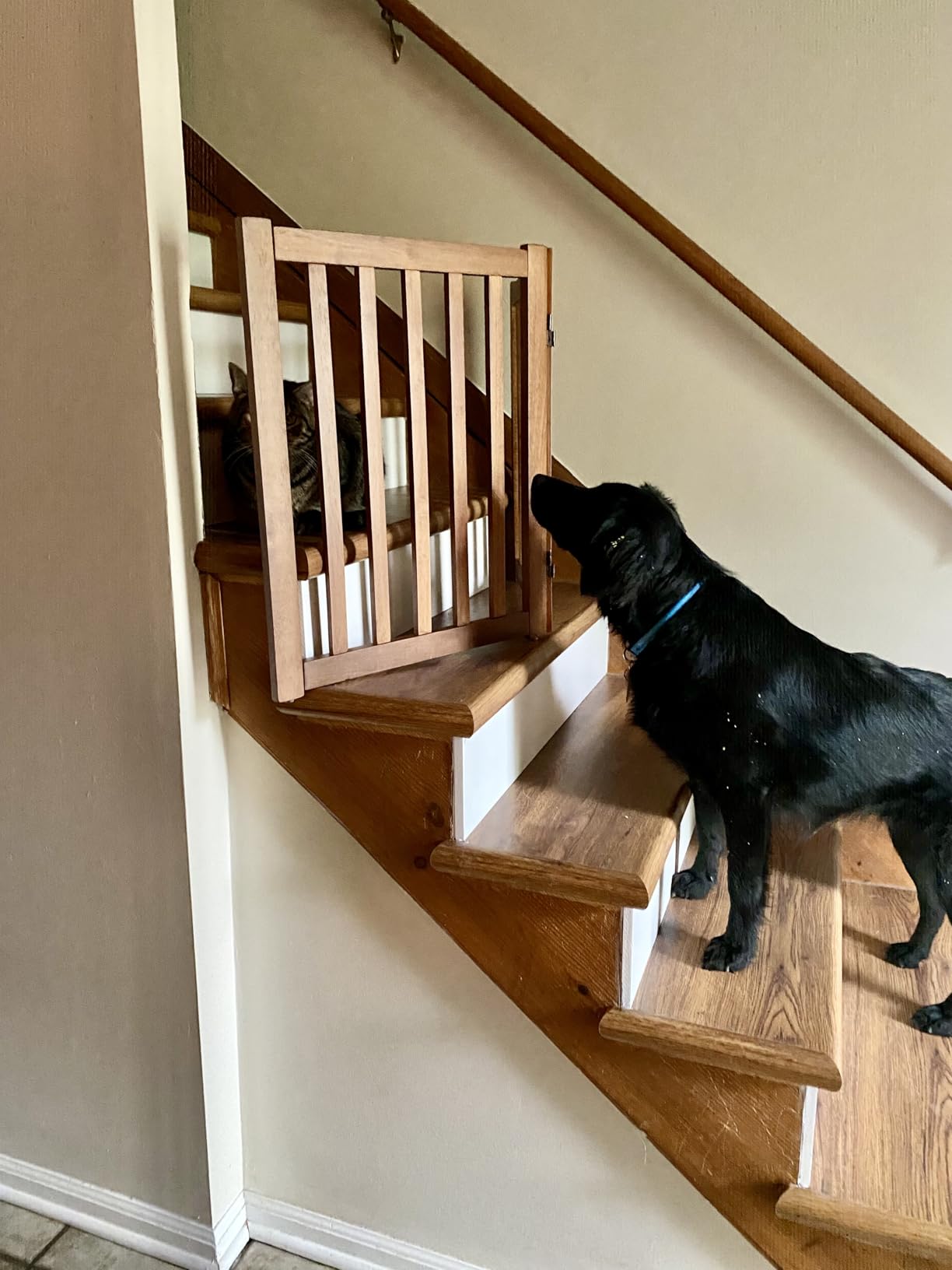 LZRS Wooden Free Standing Dog Gate 40
